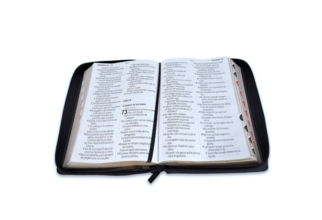 Biblia con Cierre Letra Súper Gigante 19 puntos Mediana RV1960 imit piel negro con índice - Arca del Pacto