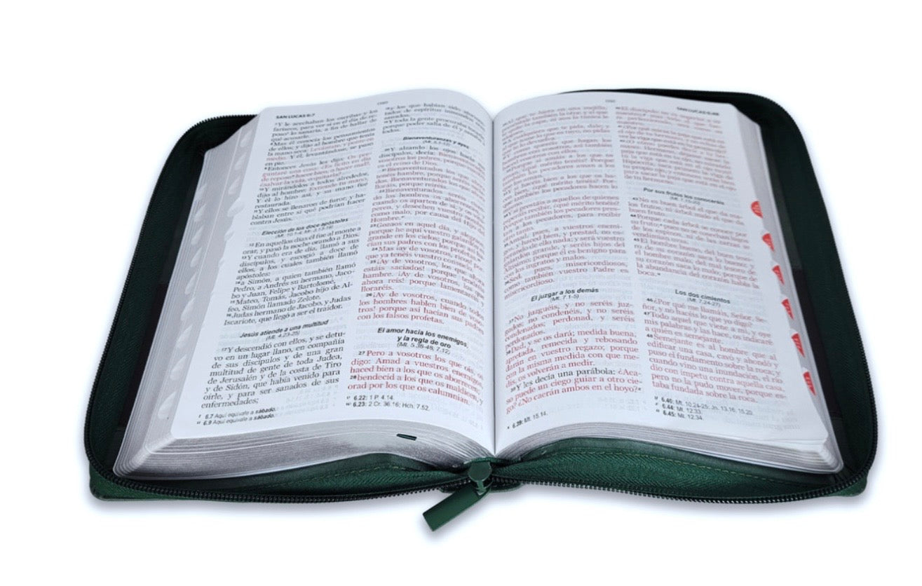 Biblia Letra Grande 12pts Con Cierre/Index RV1960 Verde/Marron Árbol