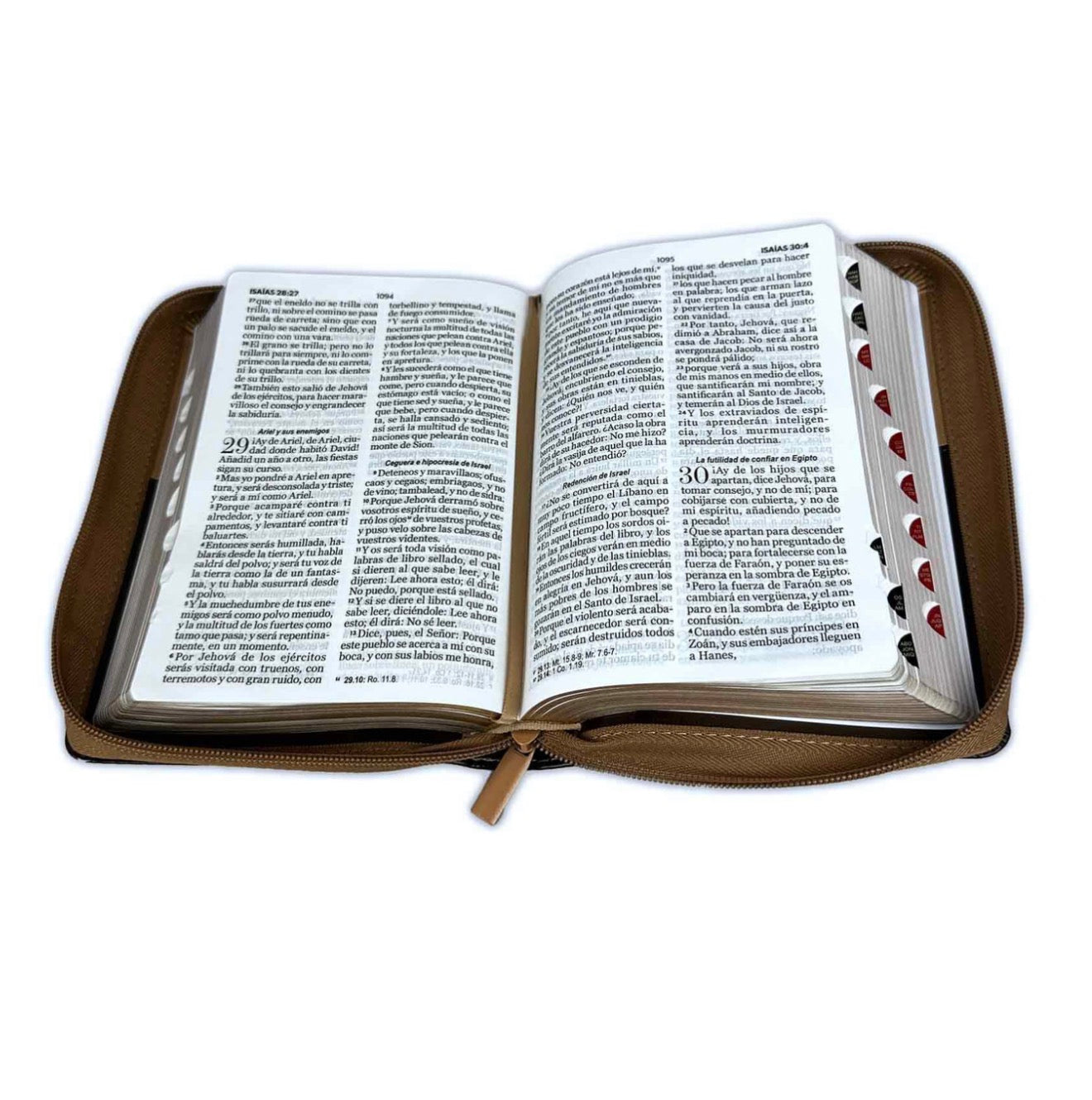 Biblia Águila con Cierre Compacta 11 puntos RV1960 imit café con índice - Pero los que esperan a Jehová