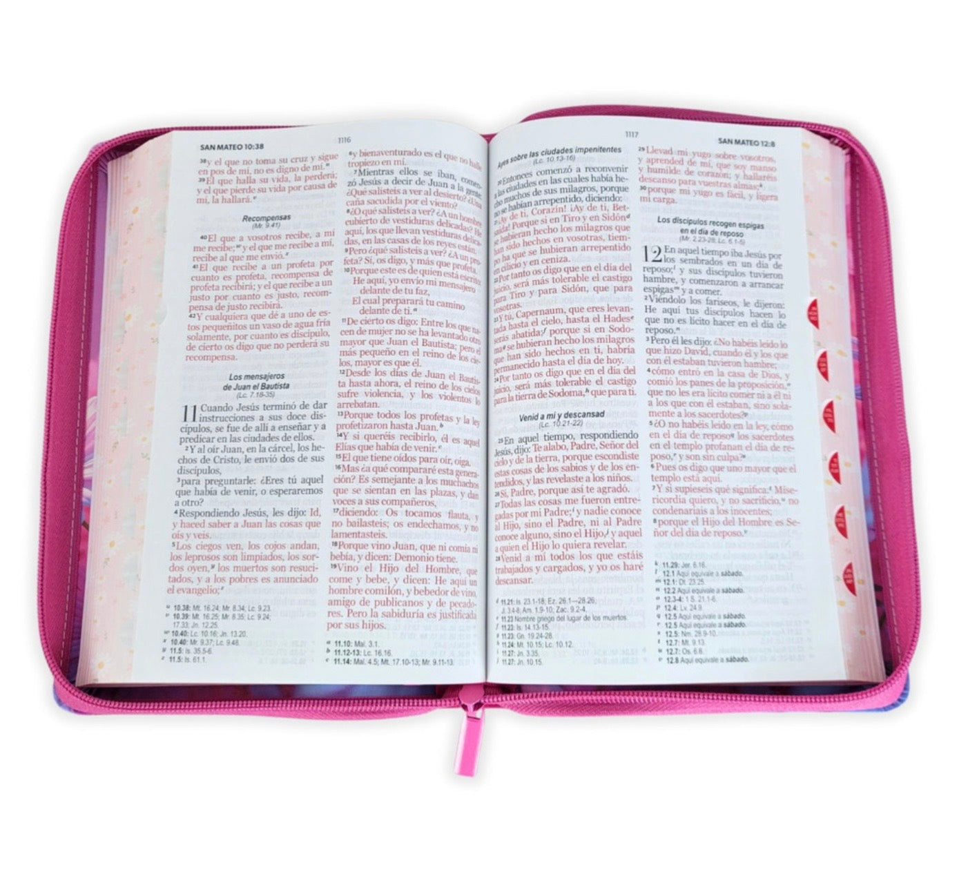 Biblia Letra Grande 12pts Con Cierre/Index RV1960 Margaritas Al Amanecer