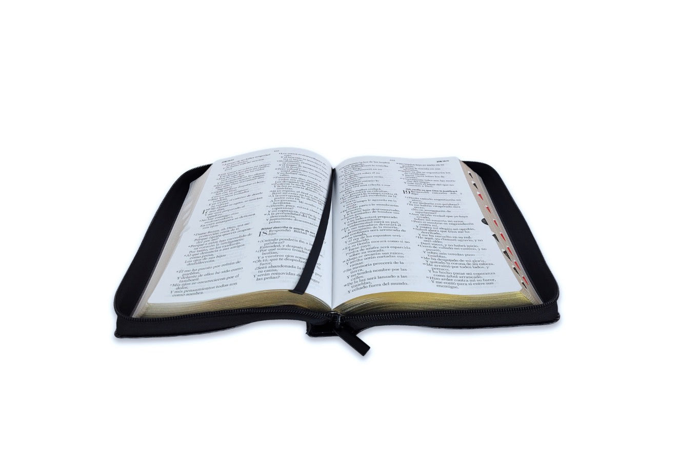 Biblia con Cierre Letra Grande 12 puntos RV1960 imit piel negro águila con índice