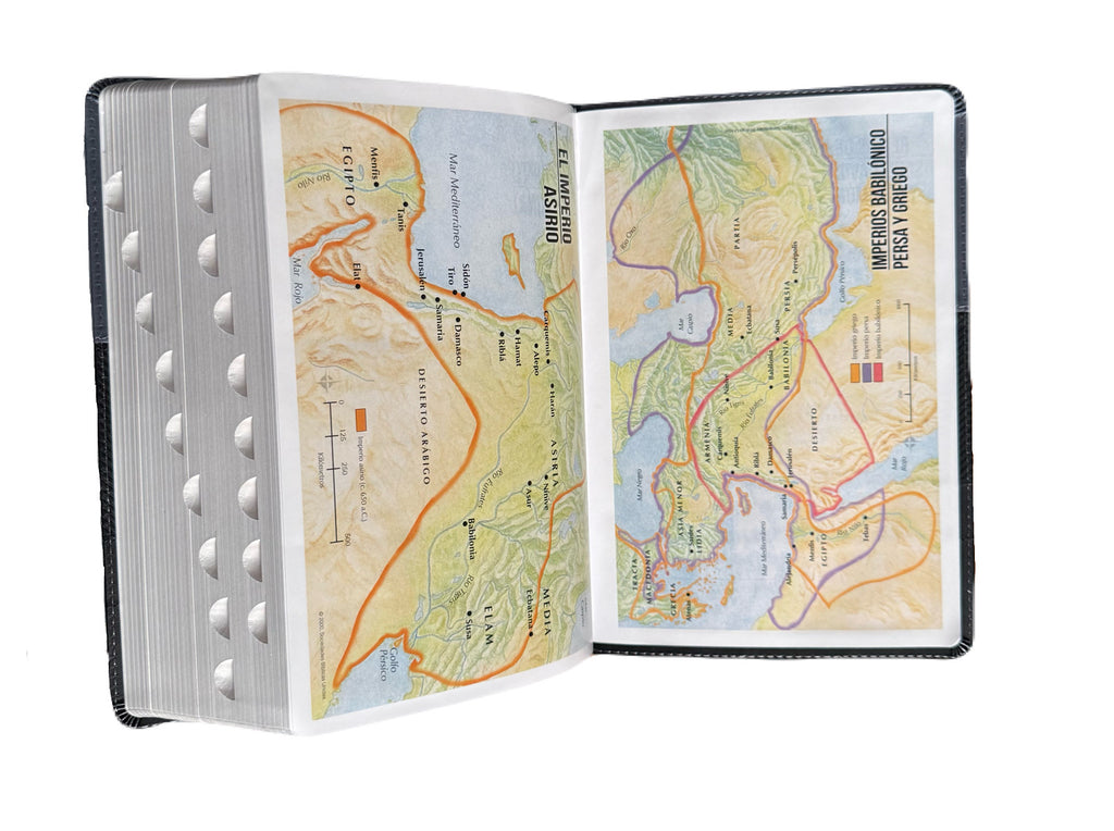 Biblia Letra Súper Gigante 19pts Con Index