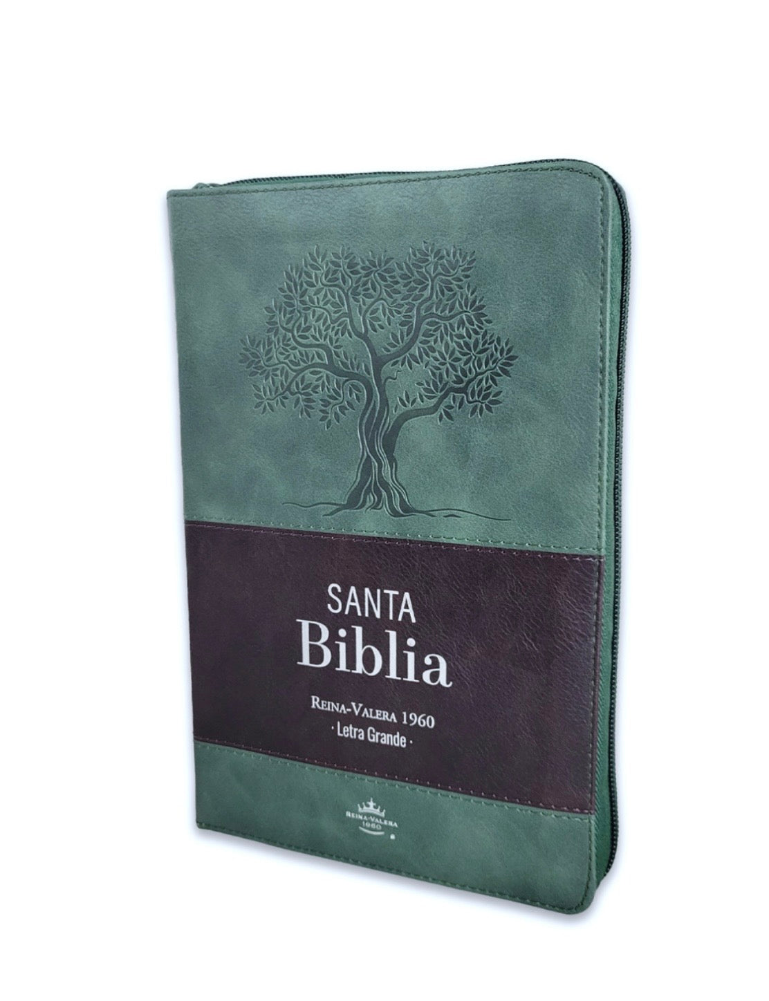 Biblia Letra Grande 12pts Con Cierre/Index RV1960 Verde/Marron Árbol