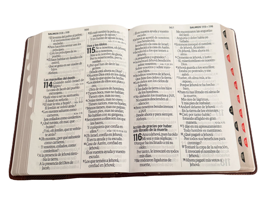 Biblia Letra Super Gigante Con Indice 19pt Piel Imit Cafe RV1960