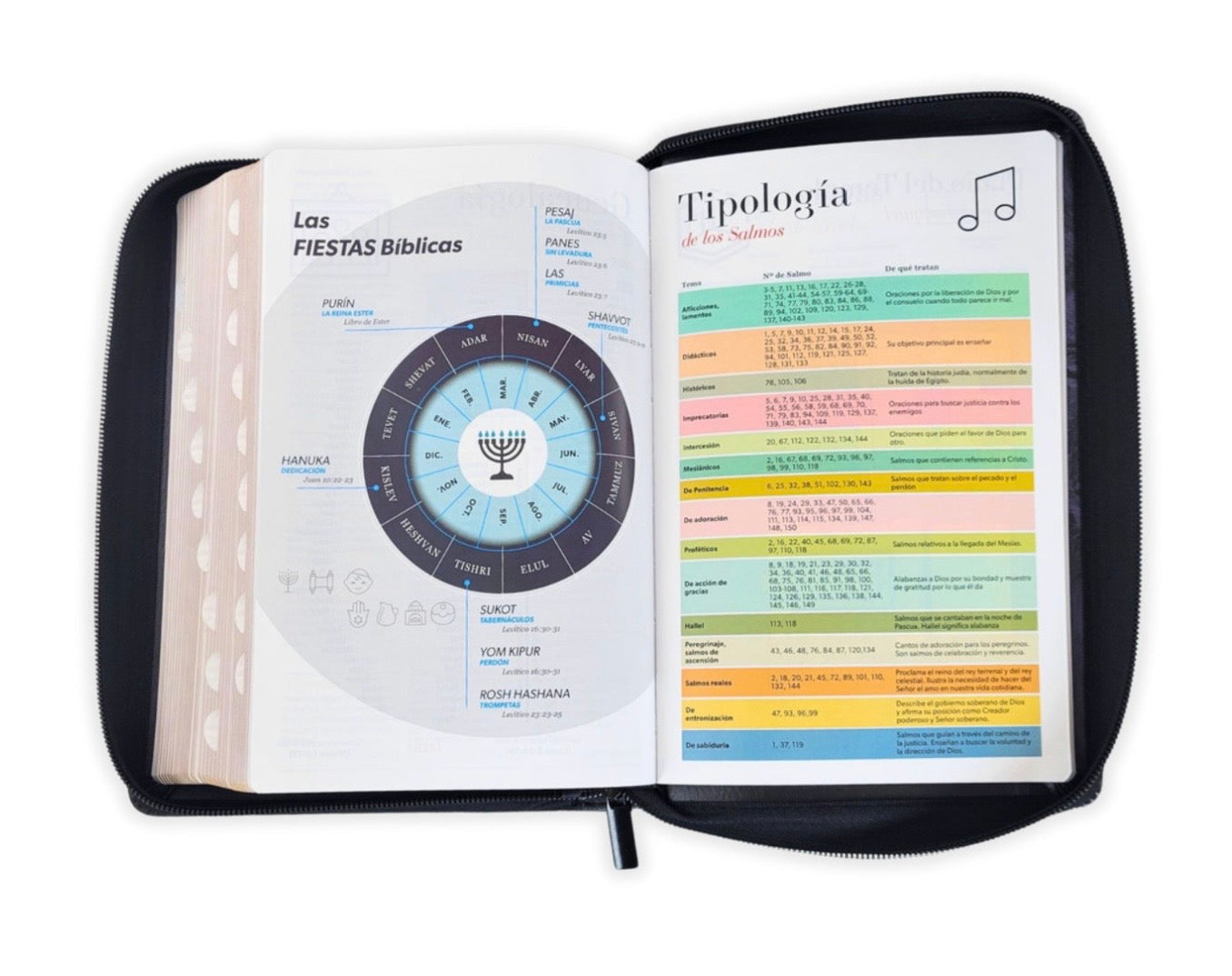 Biblia Letra Gigante 14pts Con Cierre/Index RV1960 Léon De Judá