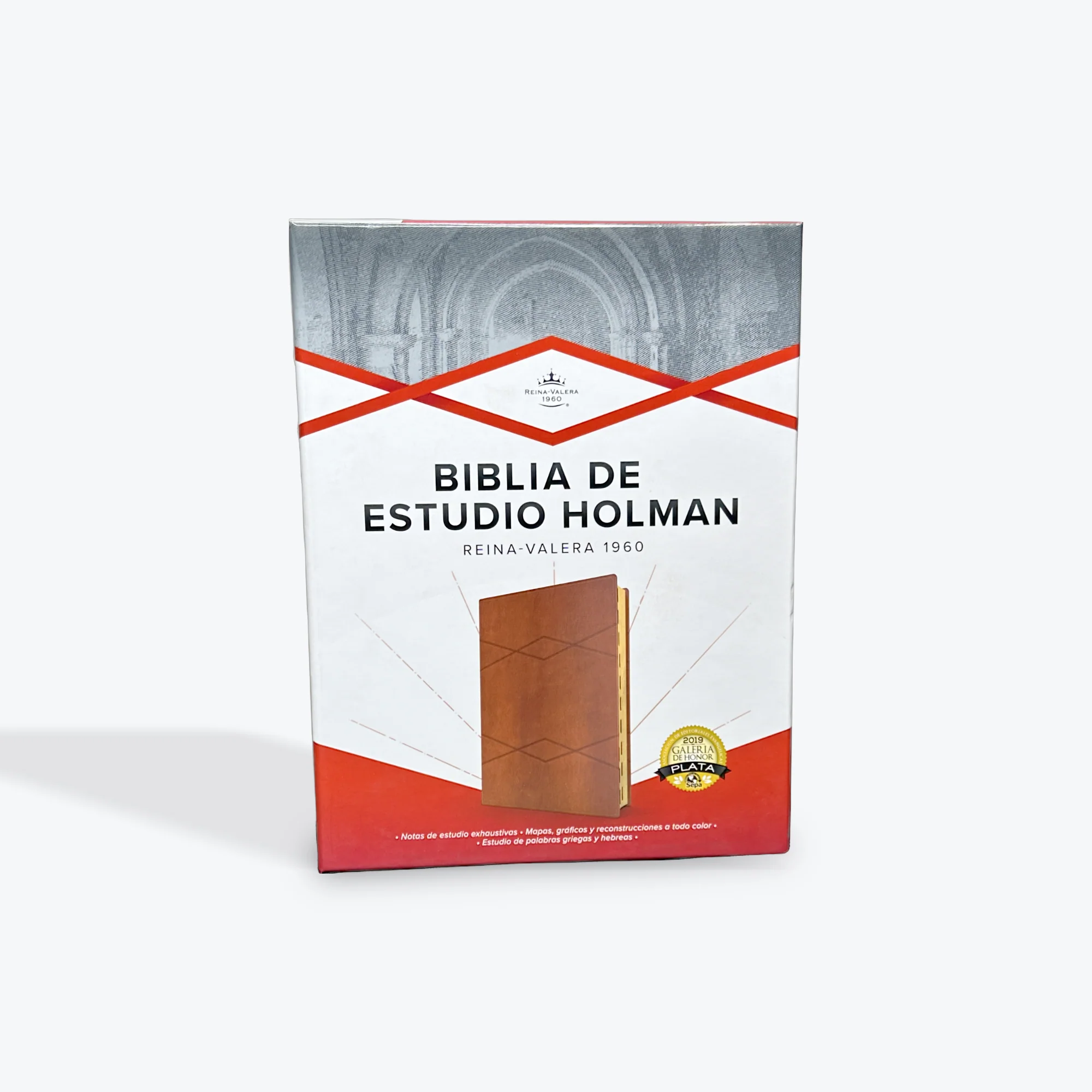 Biblia De Estudio Holman RV1960
