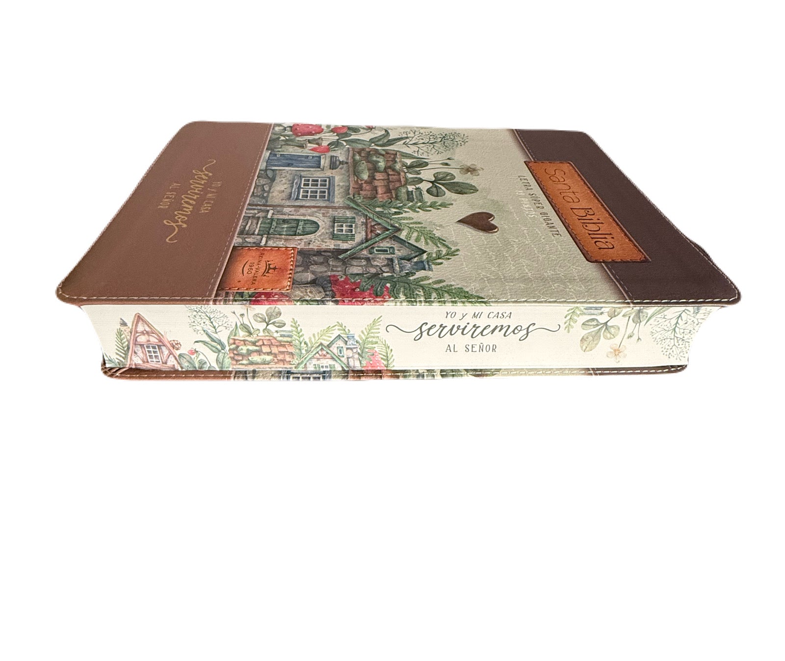 Bibia Letra Super Gigante 19pts Yo Y Mi Casa RV1960