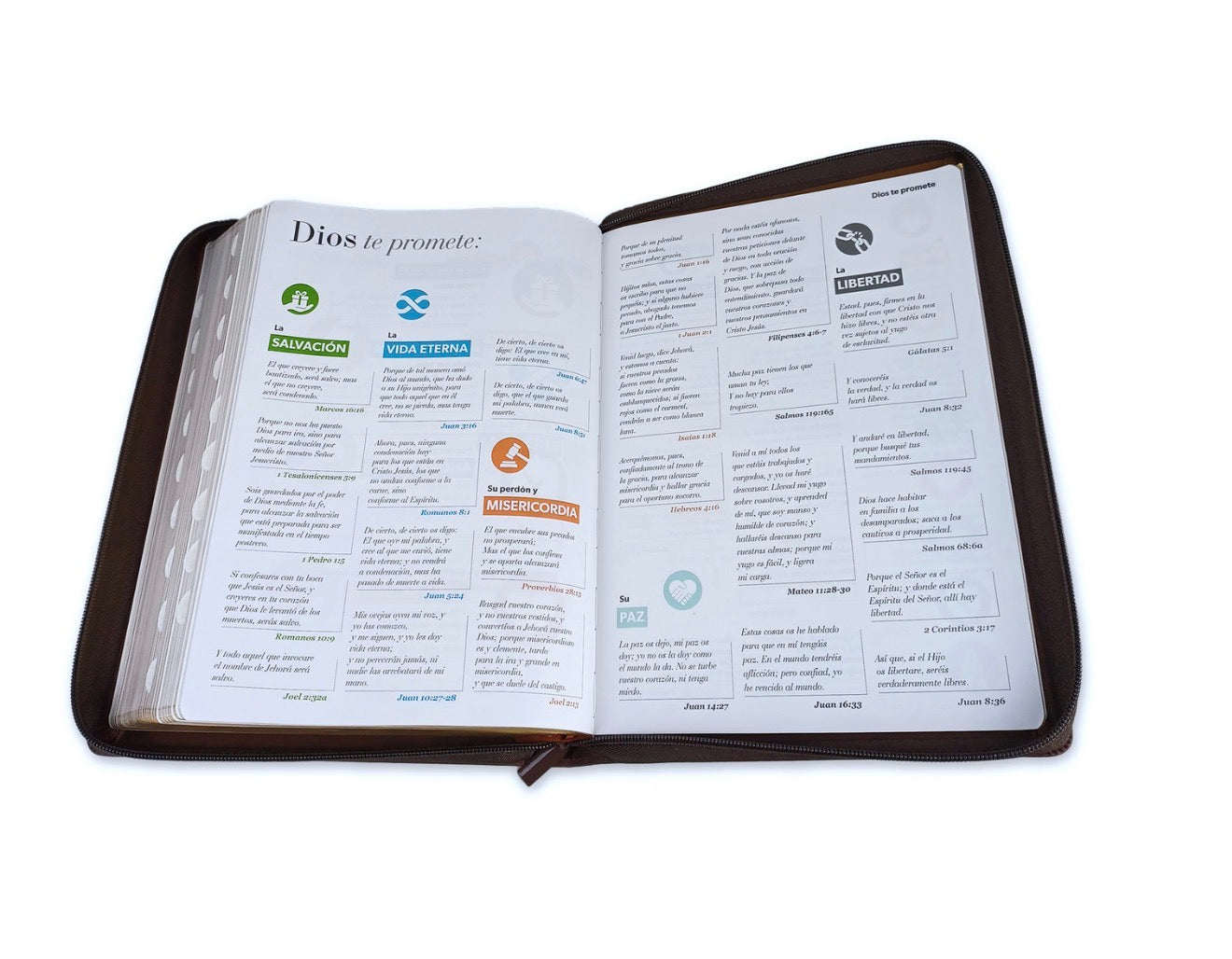 Biblia Águila con Cierre Letra Super Gigante 19 puntos RV1960 imit café con índice - Pero los que esperan a Jehová