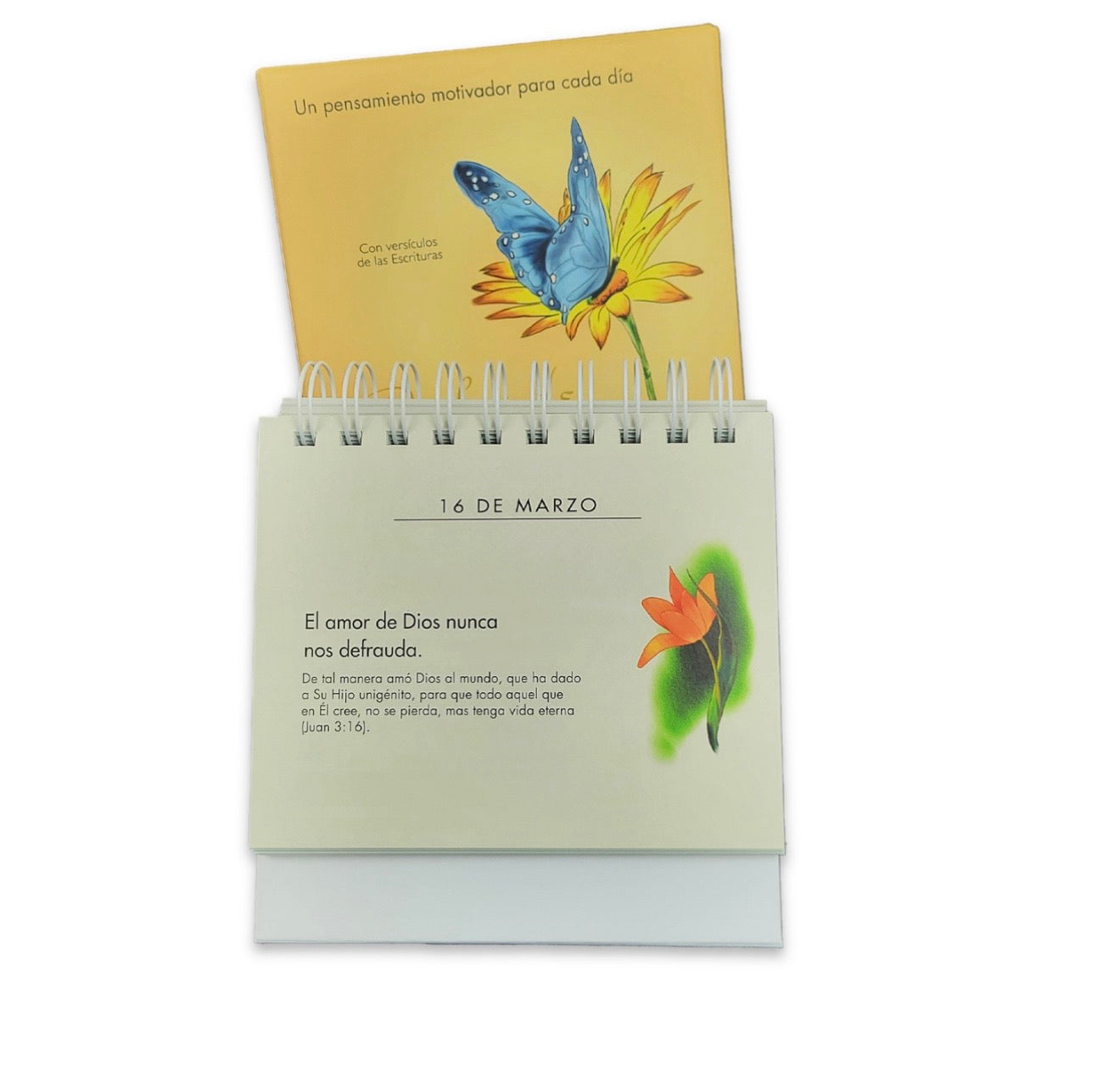 Calendario de Escritorio: Perlas de sabiduría vol. 2, 365 lecturas inspiradoras - Jessie Richards, tapa espiral