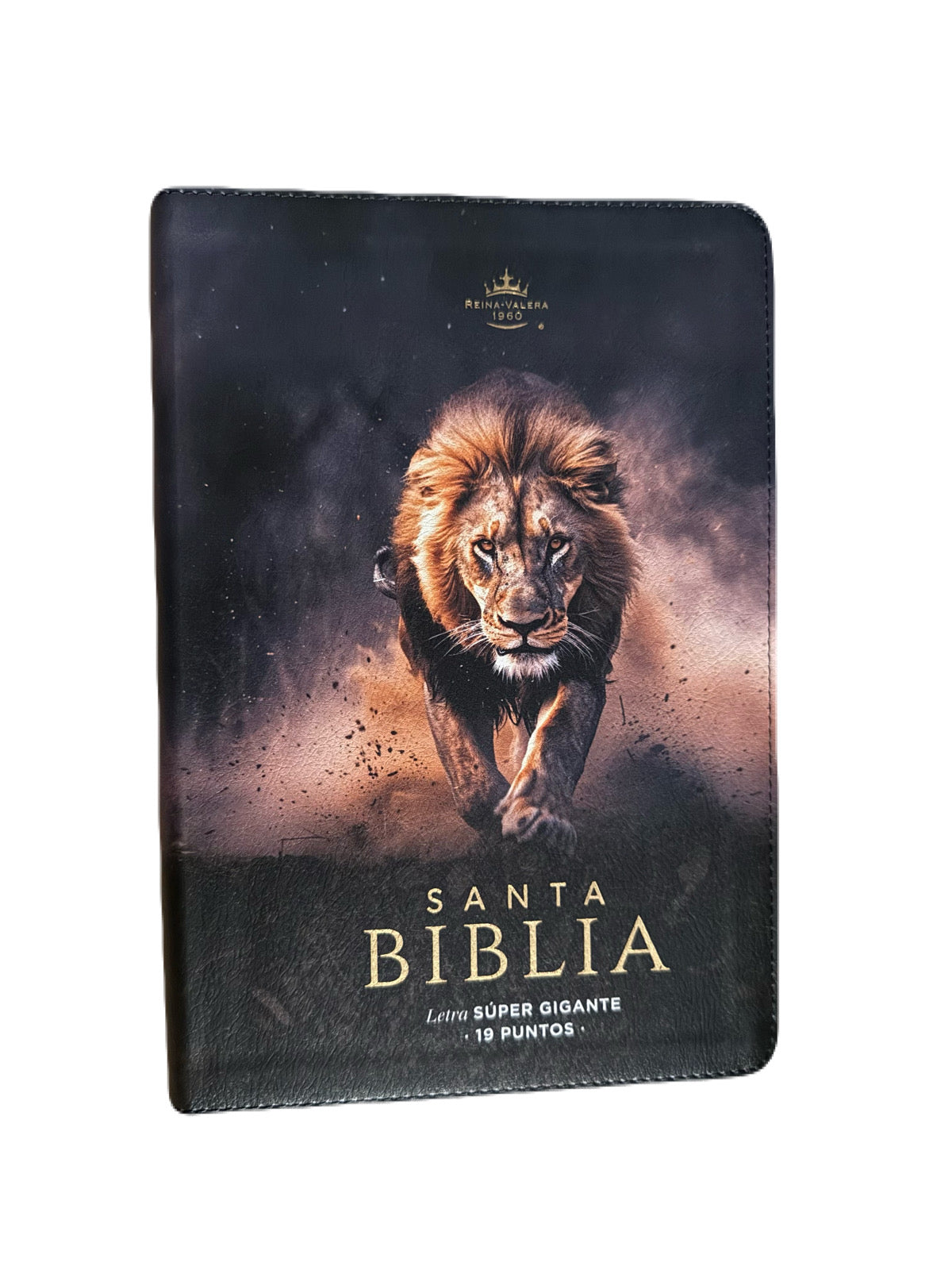 Biblia Letra Súper Gigante 19pts León De Judá