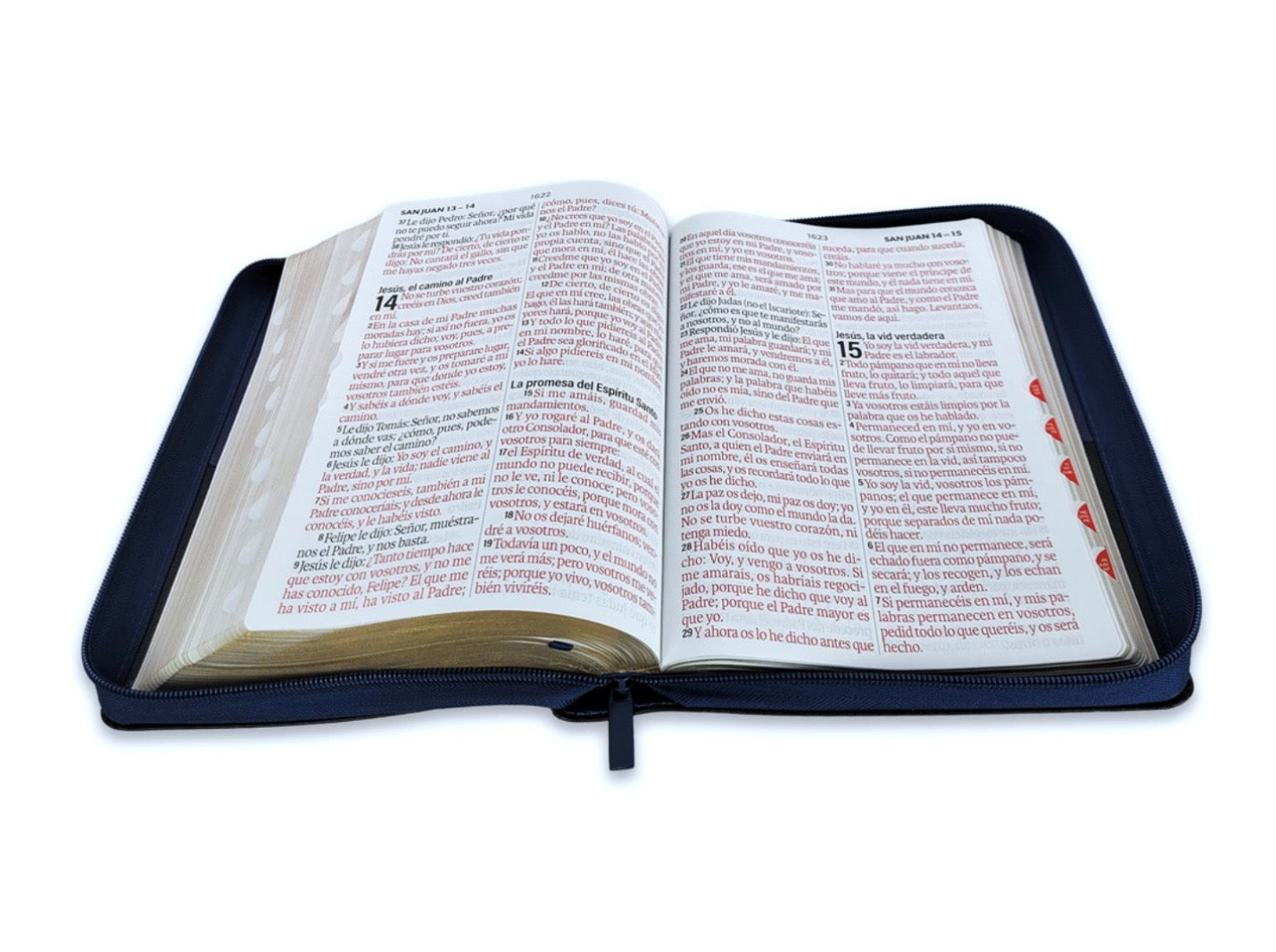 Biblia Letra Súper Gigante 19pts Con Cierre/Index Azul/Negro Brújula RV1960