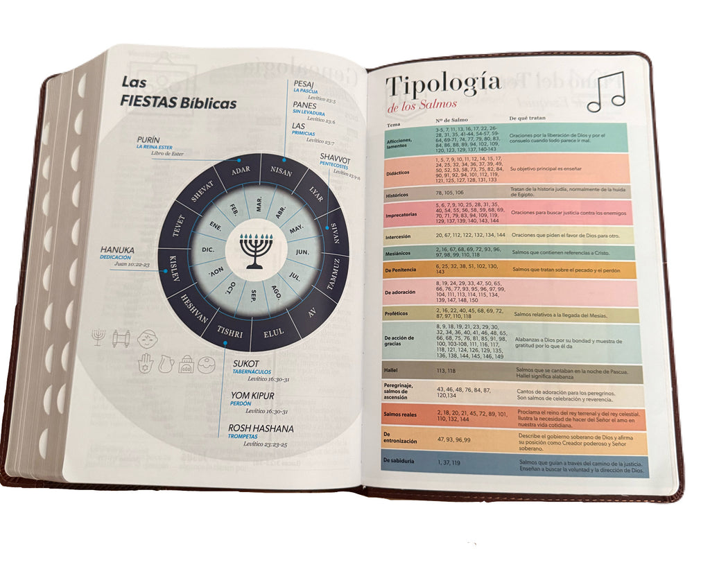 Biblia Letra Super Gigante Con Indice 19pt Piel Imit Cafe RV1960