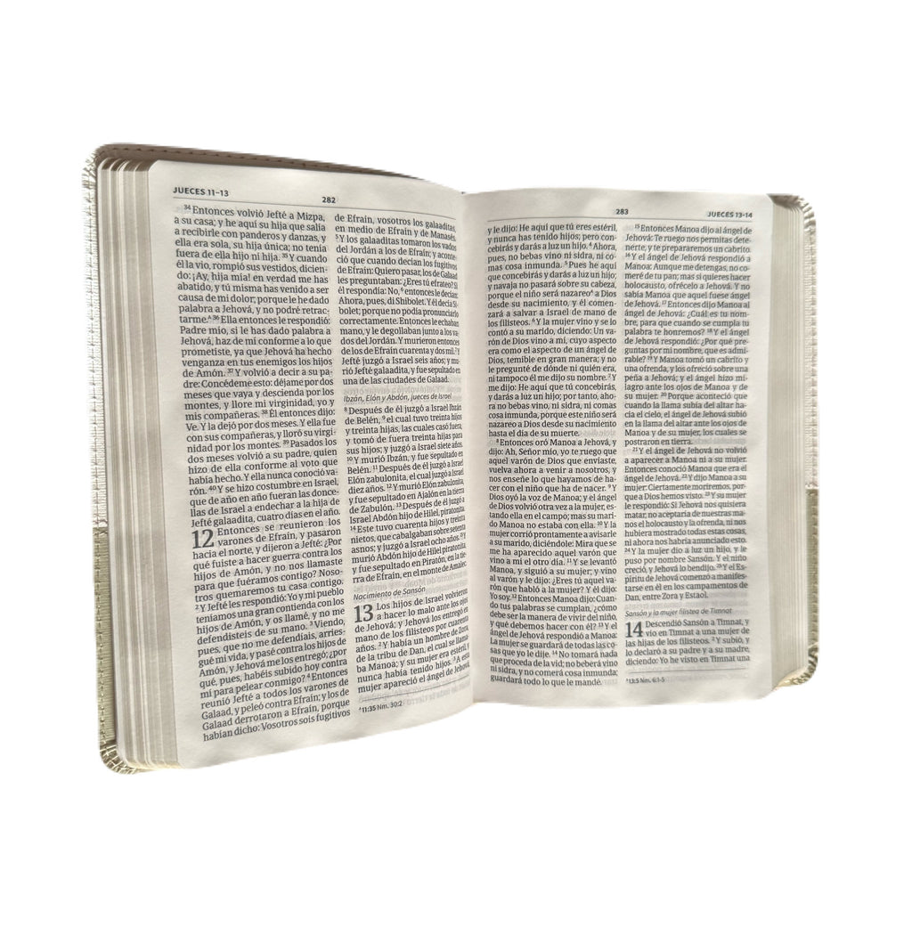 Santa Biblia 8Pts De Boda Blanco/Lino