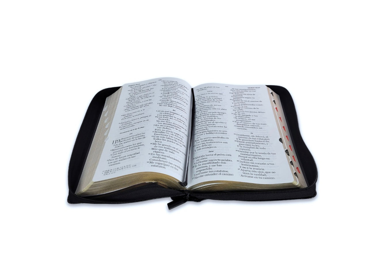 Biblia con Cierre Letra Gigante Manual 14 puntos RV1960 imit piel león y cordero negro con índice