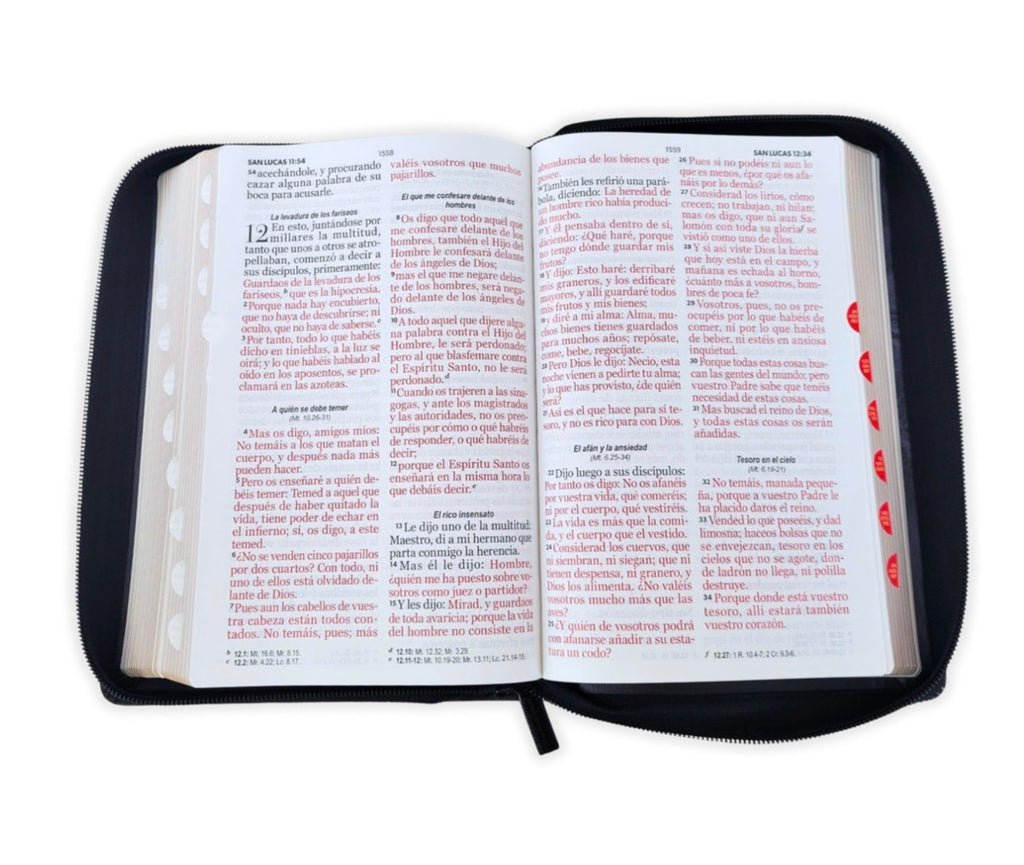 Biblia Letra Gigante 14pts Con Cierre/Index RV1960 Léon De Judá