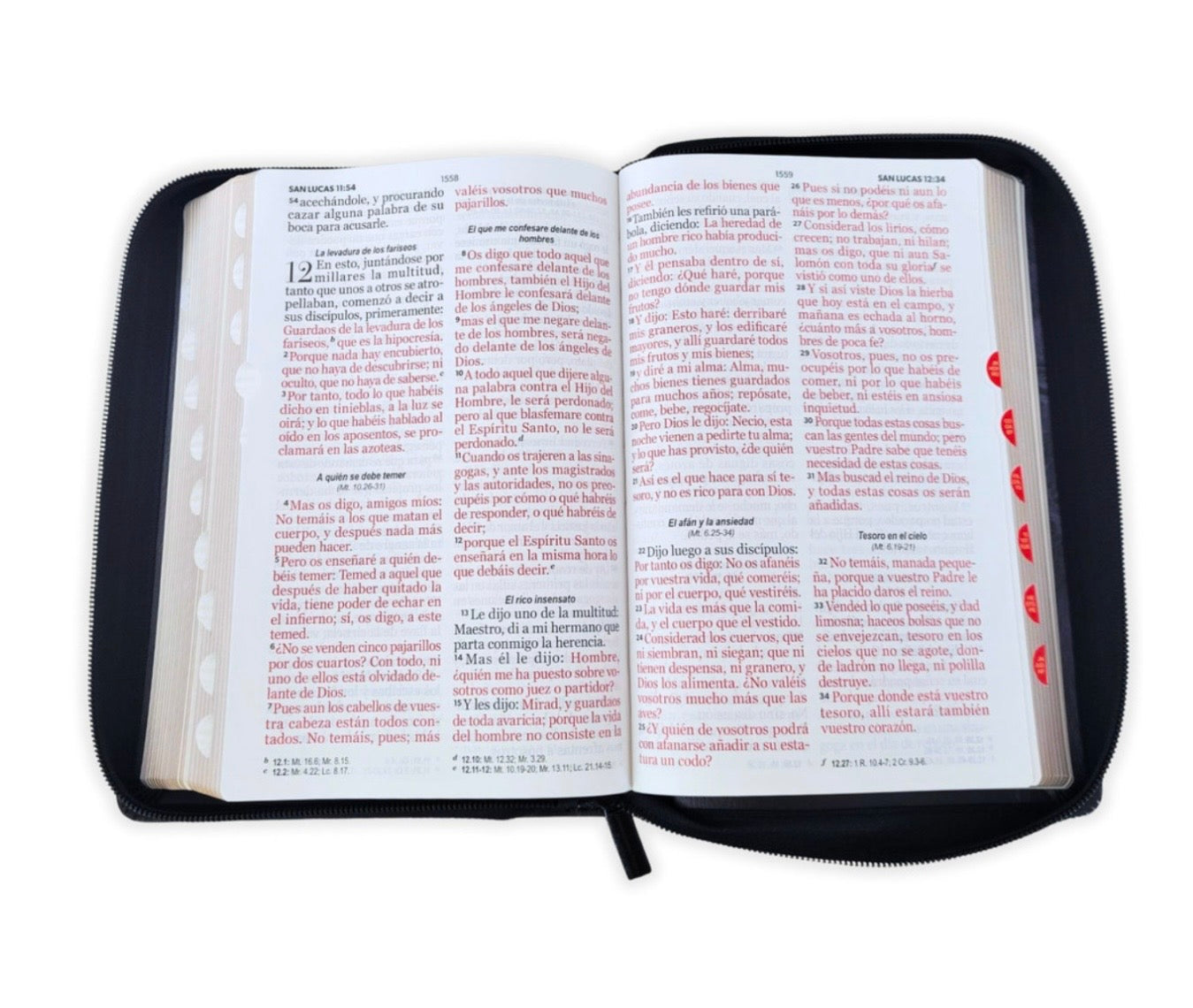 Biblia Letra Gigante 14pts Con Cierre/Index RV1960 Léon De Judá