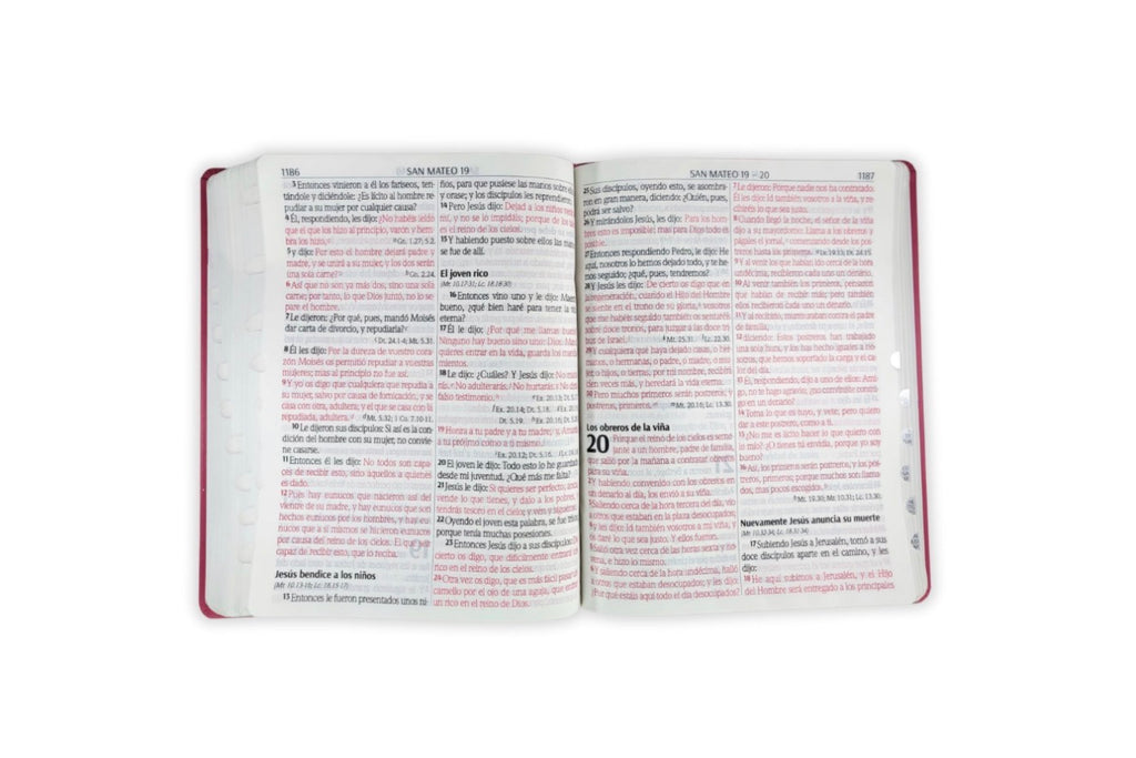 Biblia Letra Supergigante 18 puntos RV1960 imit piel fucsia con índice