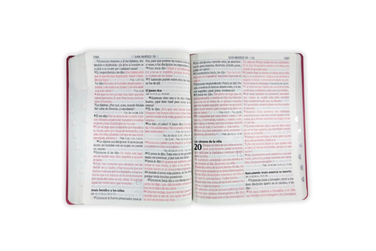 Biblia Letra Supergigante 18 puntos RV1960 imit piel fucsia con índice