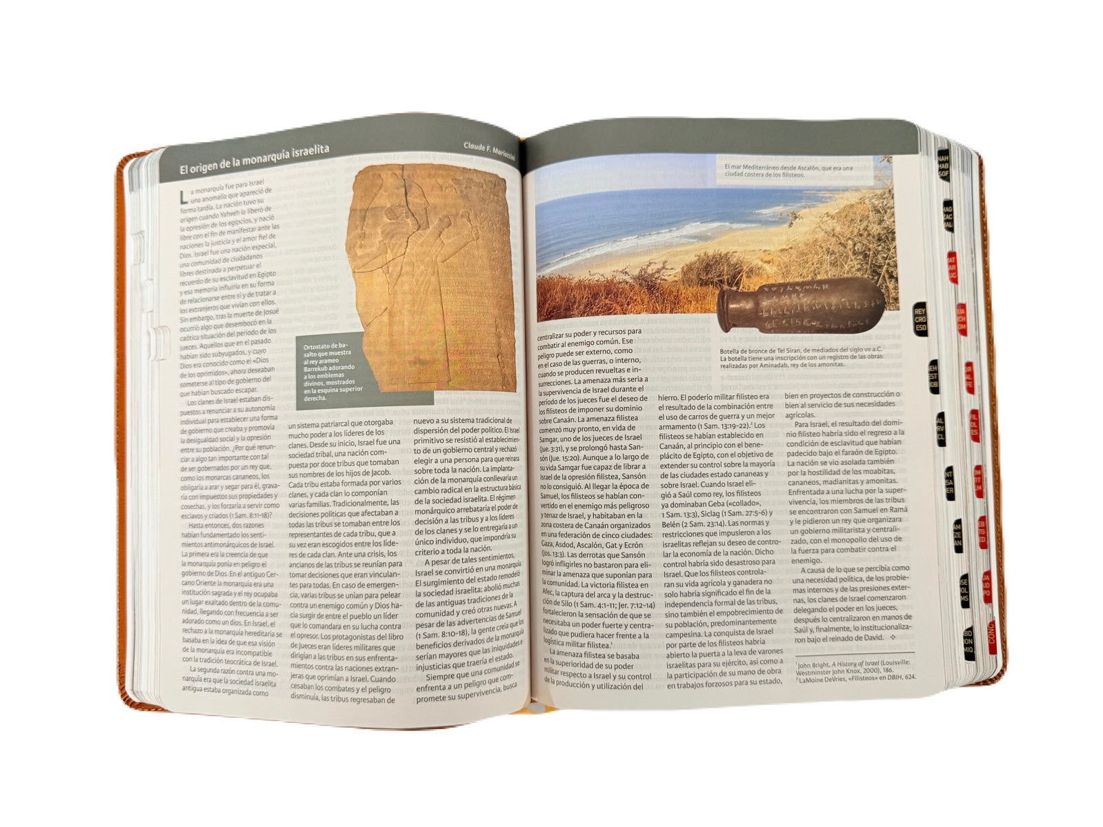 Biblia Ilustrada De La Tierra Santa RV1960