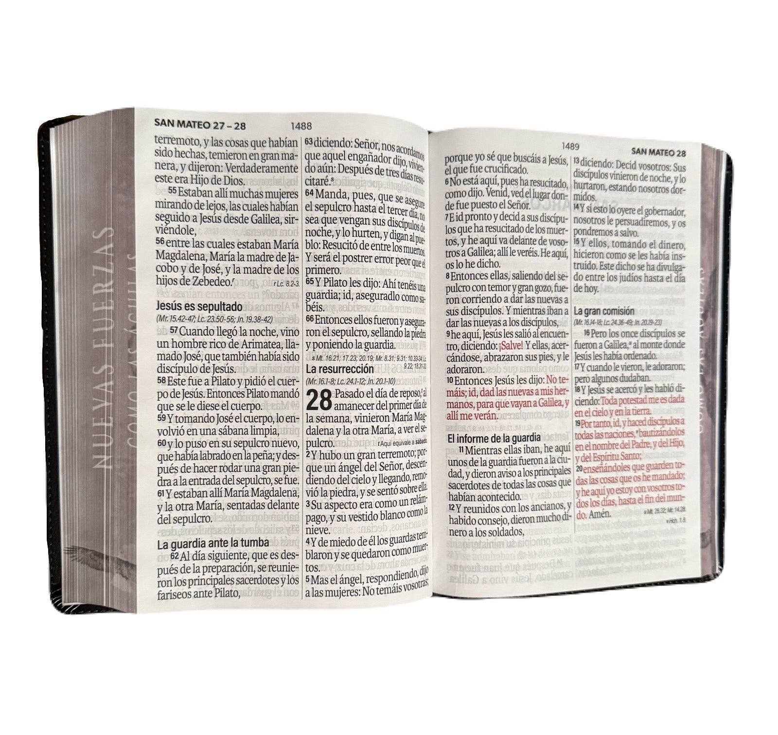 Biblia Letra Súper Gigante 19pts Nuevas Fuerzas