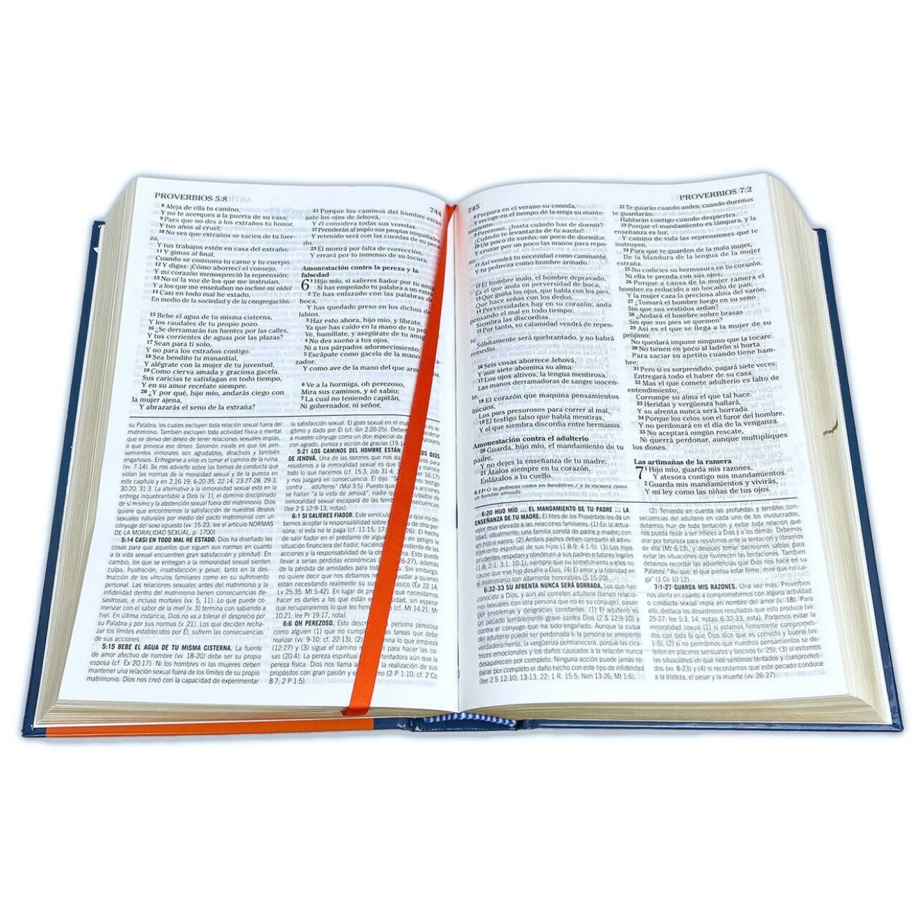 Biblia de Estudio de la Vida Plena para Jóvenes RV1960, tapa dura a color