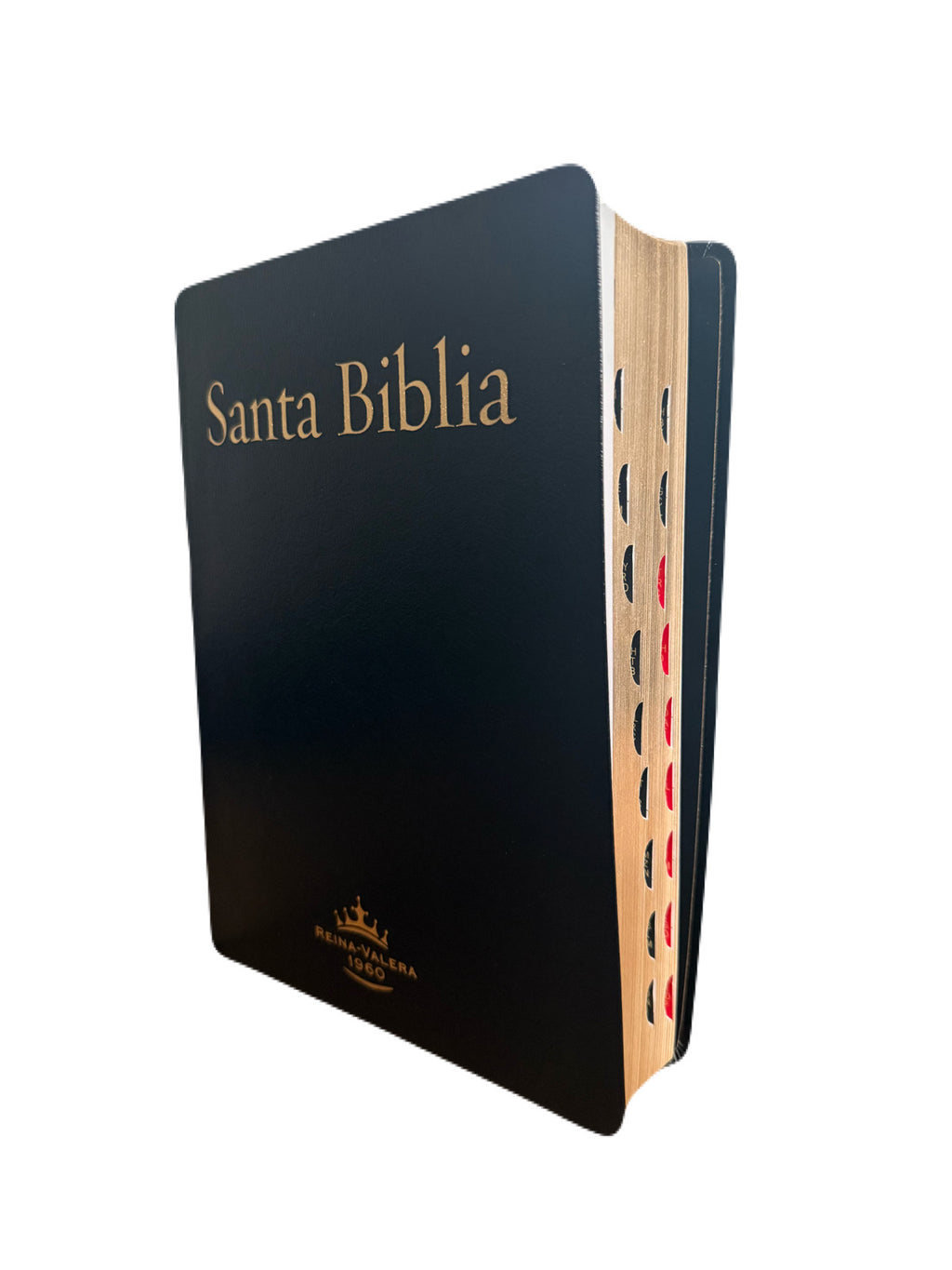 Biblia Letra Super Gigante 18 Puntos Con Indice RV1960