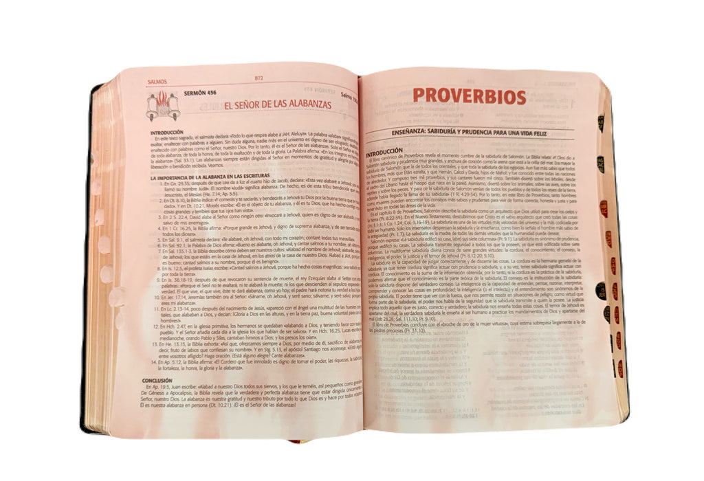 Biblia Para La Predicación Del Avivamiento Negro RV1960