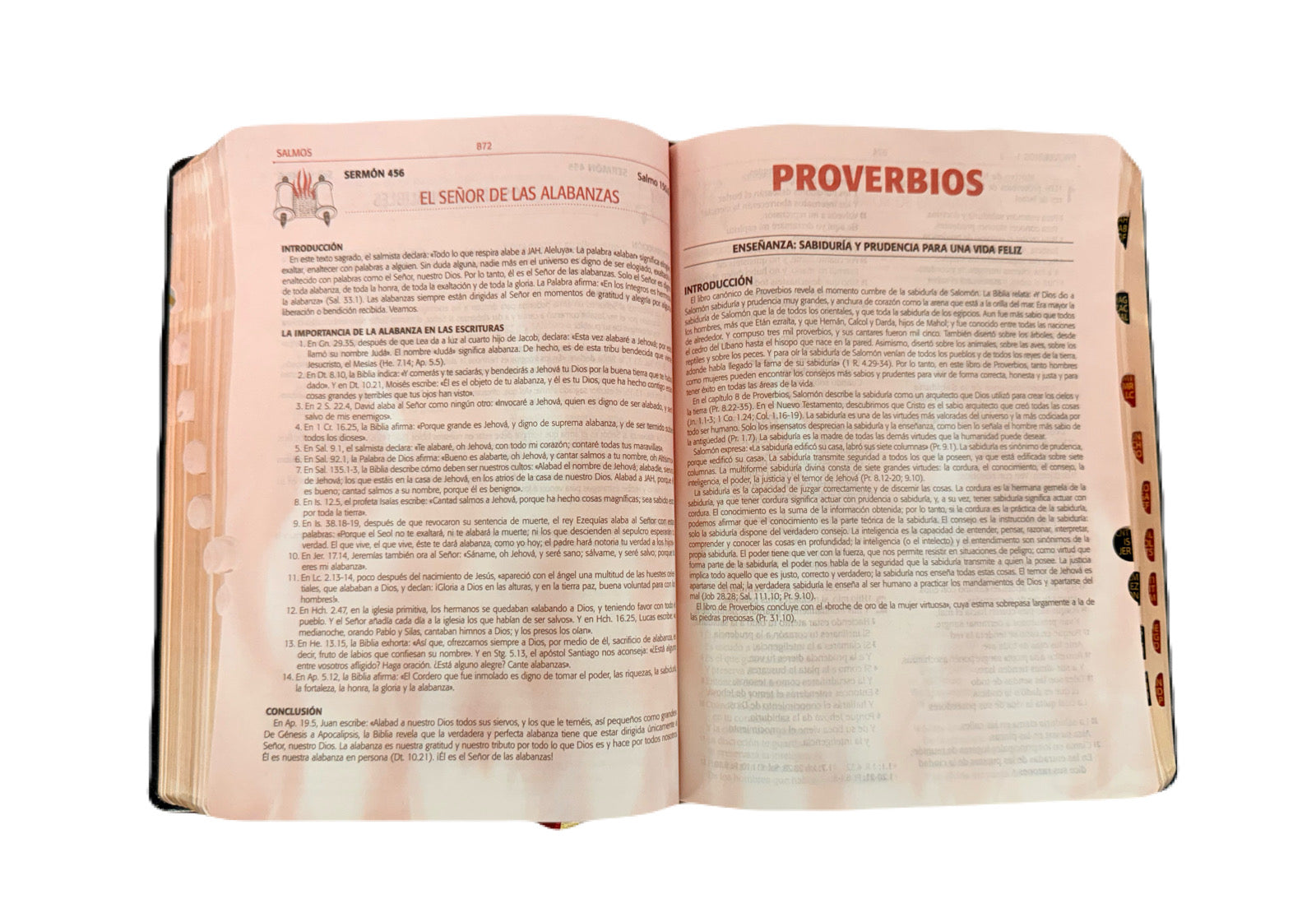 Biblia Para La Predicación Del Avivamiento Negro RV1960