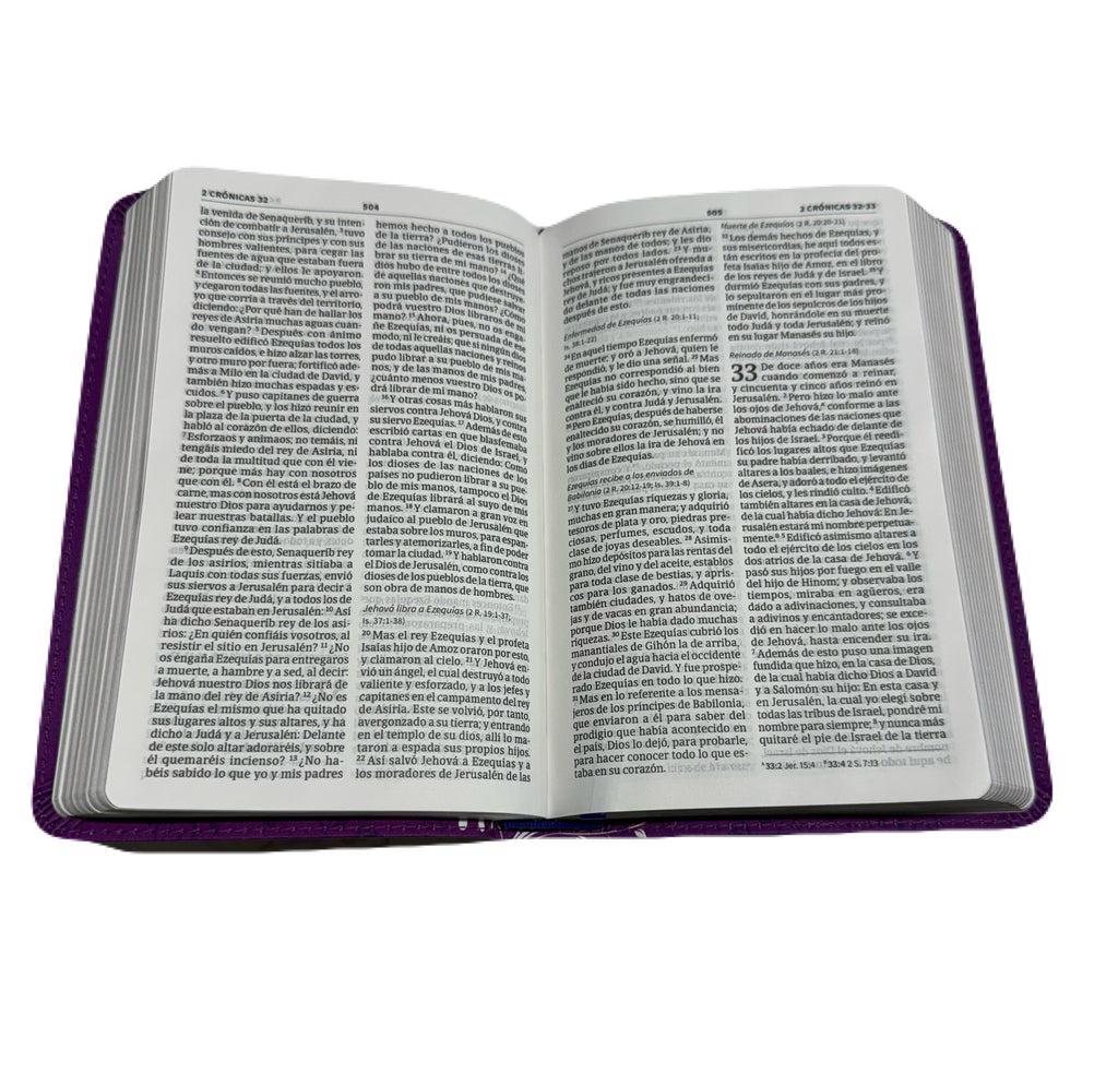 Biblia Edición Mis Quince RV1960 Amatista Con Mariposas Símil Piel