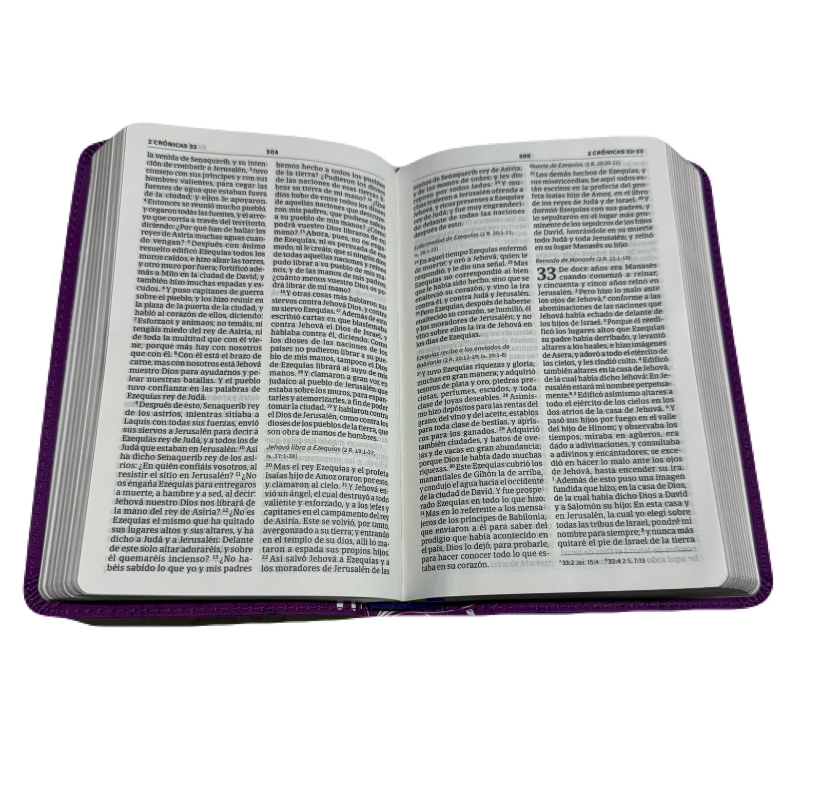 Biblia Edición Mis Quince RV1960 Amatista Con Mariposas Símil Piel