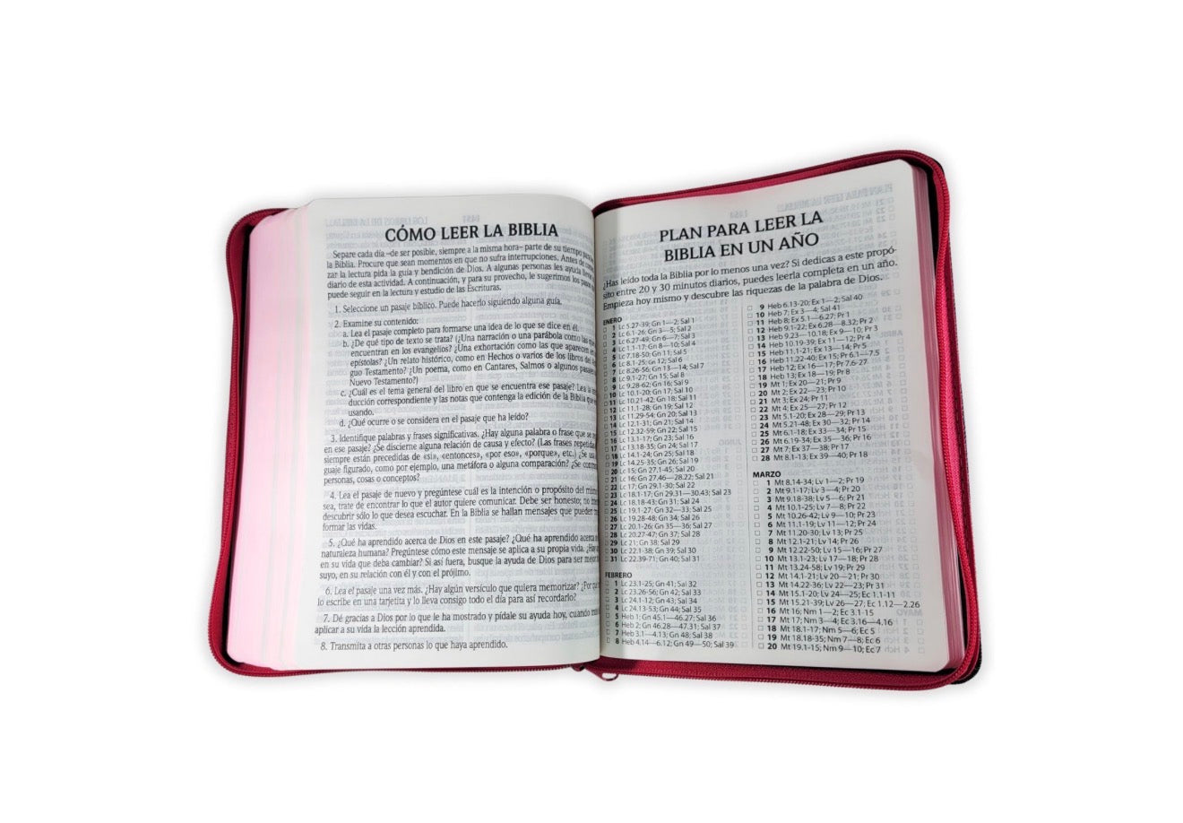 Biblia Jean Letra Gigante 14 puntos con cierre RV1960 tela jean - fucsia