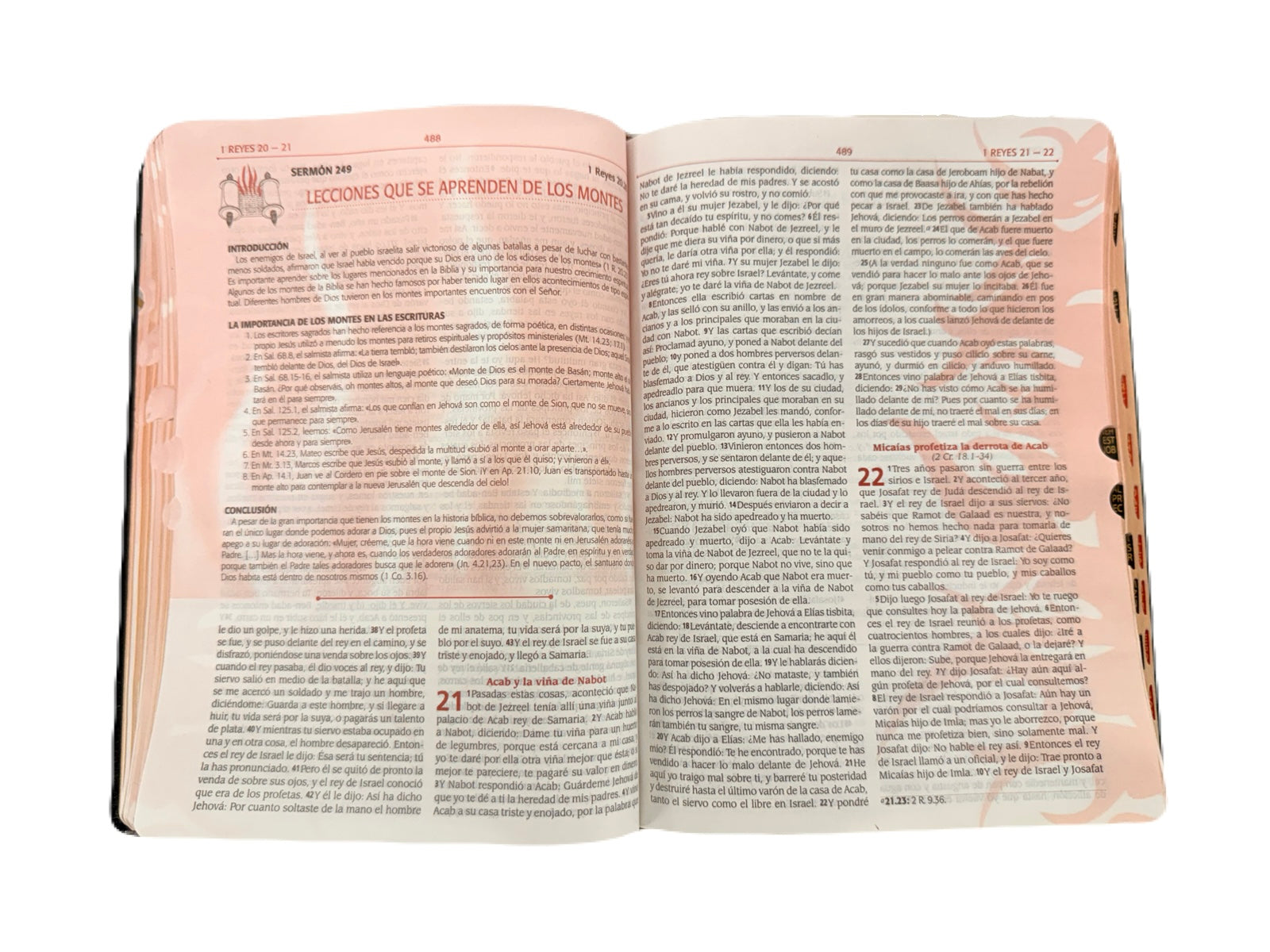 Biblia Para La Predicación Del Avivamiento Negro RV1960