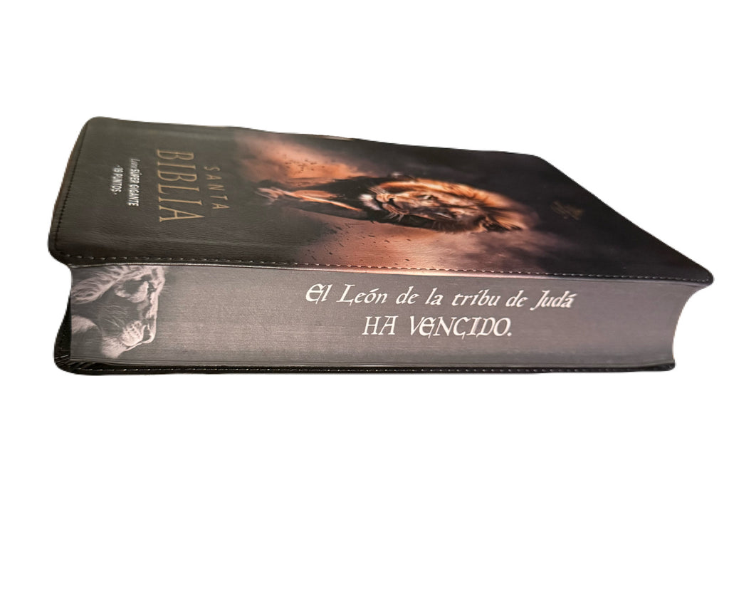 Biblia Letra Súper Gigante 19pts León De Judá