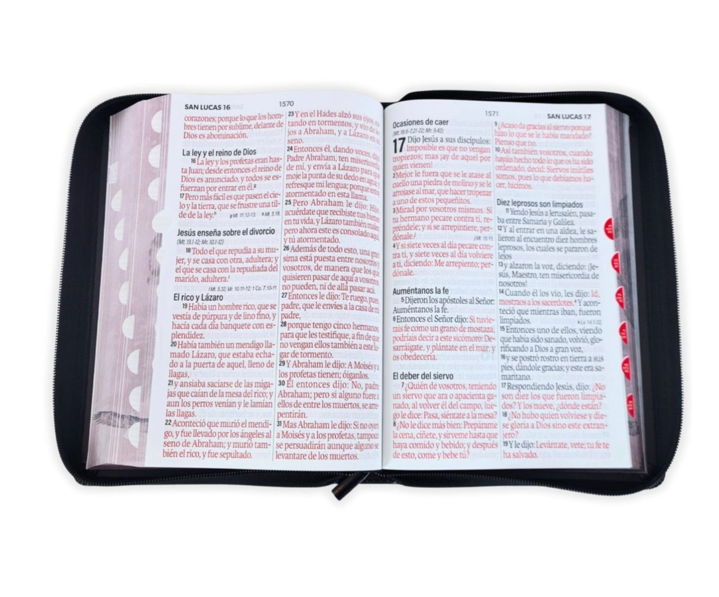 Biblia Letra Súper Gigante 19pts Con Cierre/Index Nuevas Fuerzas RV1960