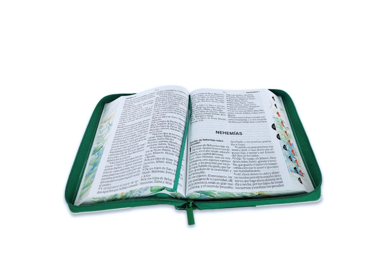 Biblia con Cierre Letra Súper Gigante 19 puntos Mediana RV1960 imit piel floral mariposa verde con índice y canto floral