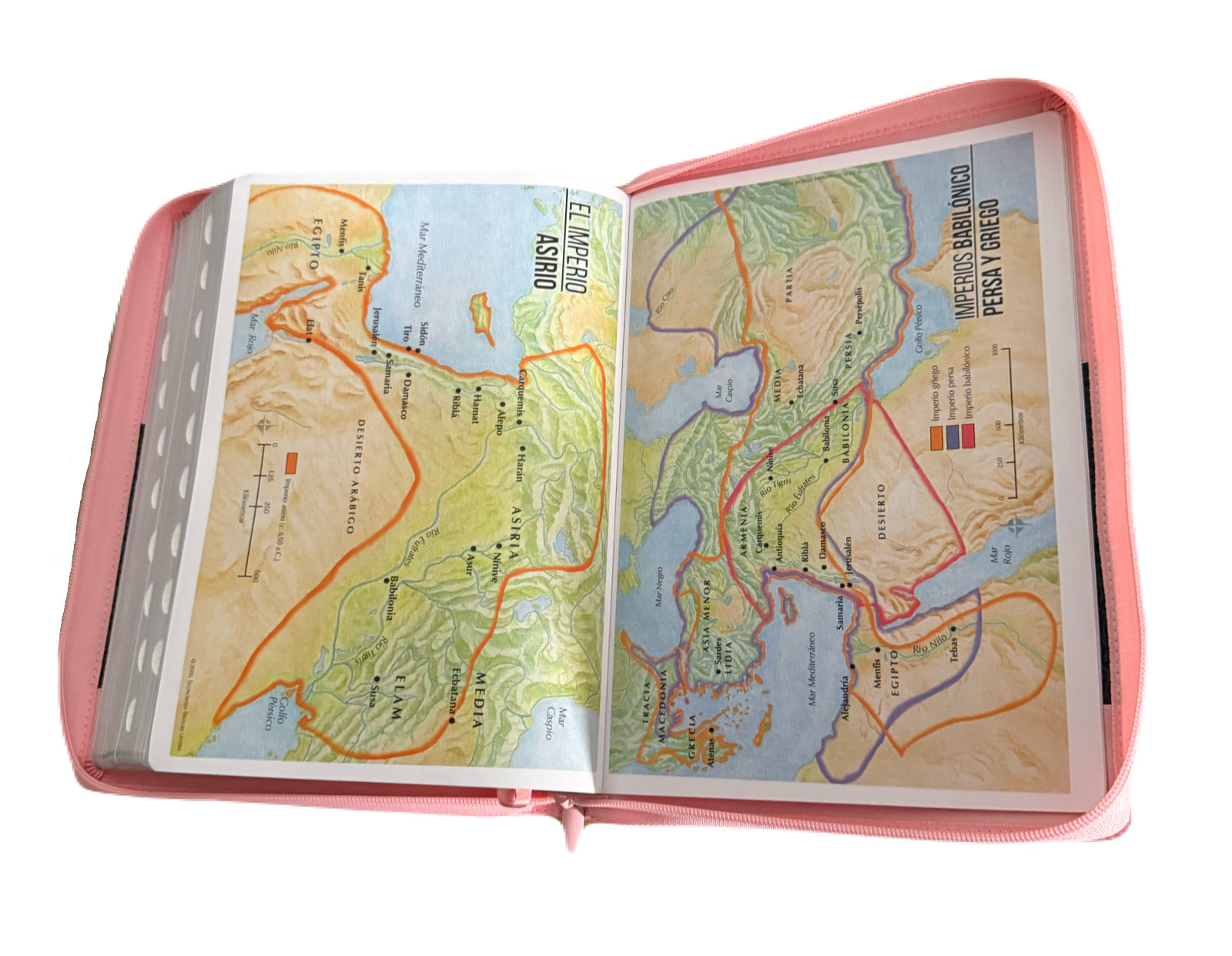 Biblias Letra Super Gigante 19Pts Con Cierre/Indice Classic Rosa/Cafe RV1960
