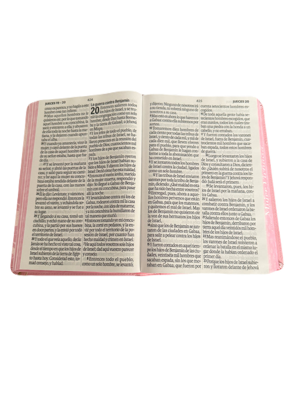 Biblia Letra Super Gigante 19Pt Floral Mujer Virtuosa RV1960