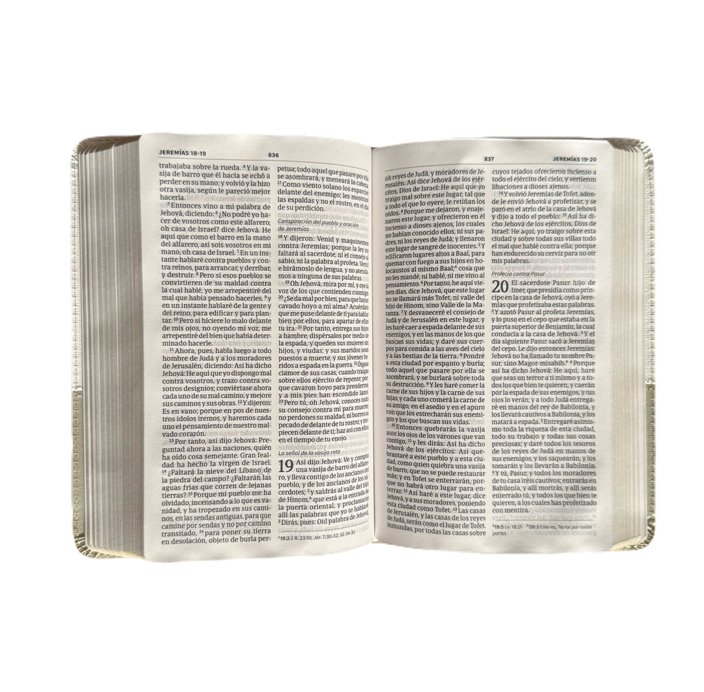 Santa Biblia 8Pts De Boda Blanco/Lino