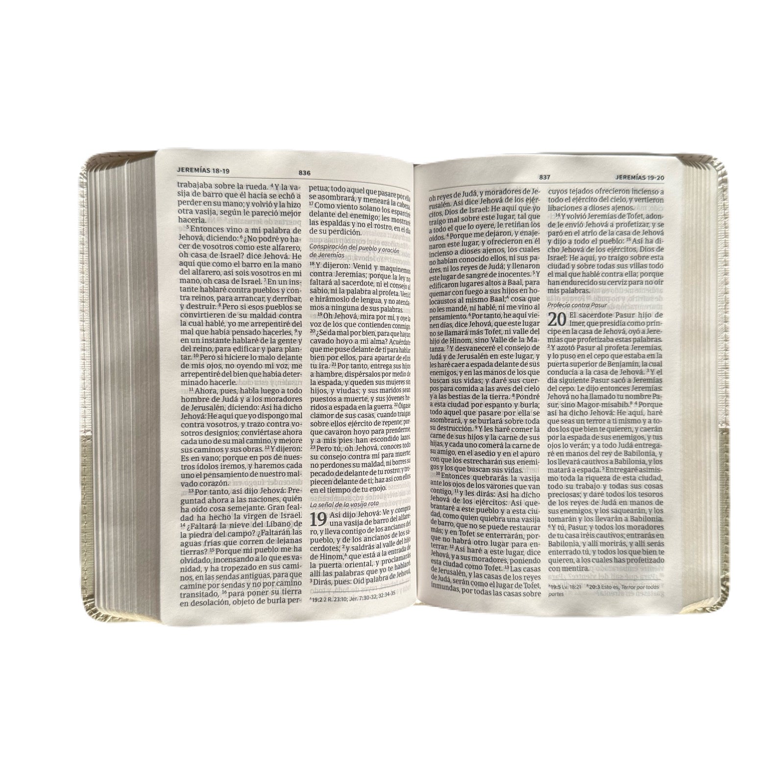 Santa Biblia 8Pts De Boda Blanco/Lino