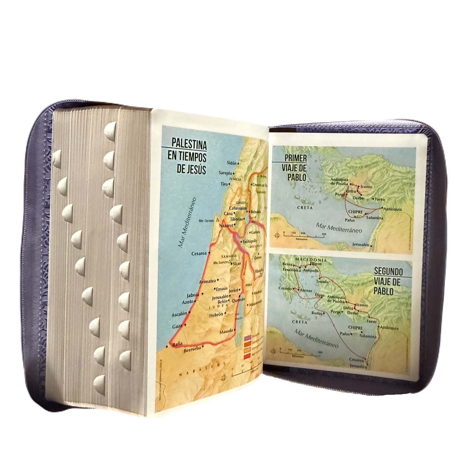 Biblia Letra Súper Gigante 19Pts Con Index Lila/Café Flores Grabadas RV1960