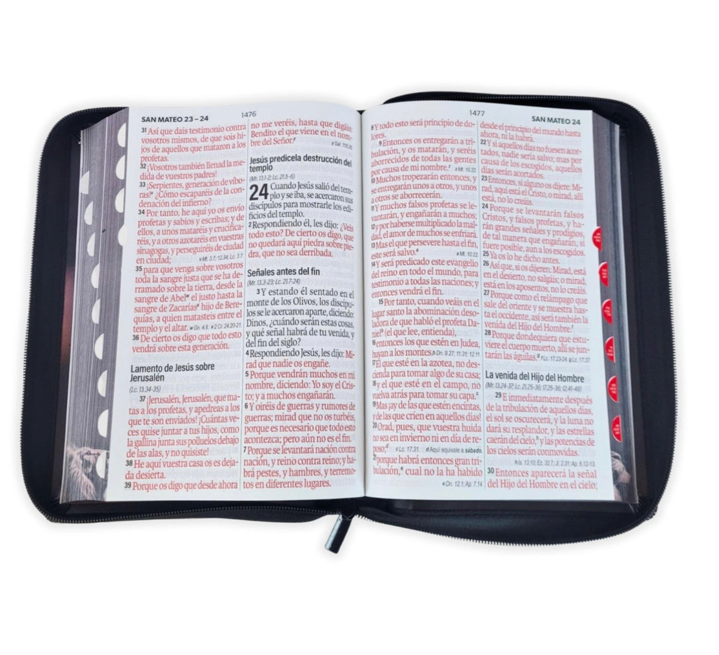 Biblia Letra Súper Gigante 19pts Con Cierre/Index Léon De Judá RV1960