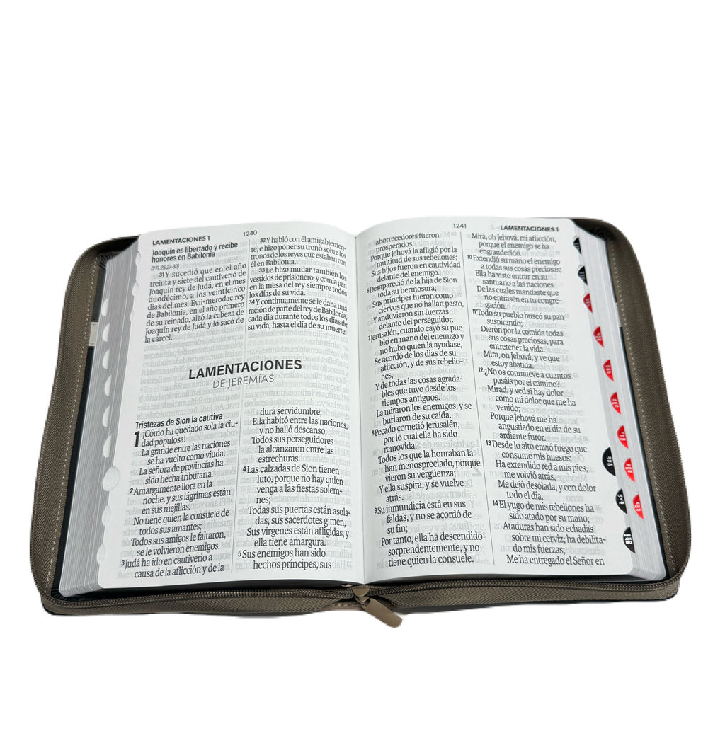 Biblia Letra Súper Gigante 19pts Con Cierre/Index Tech Dot Negro/Café/Beige