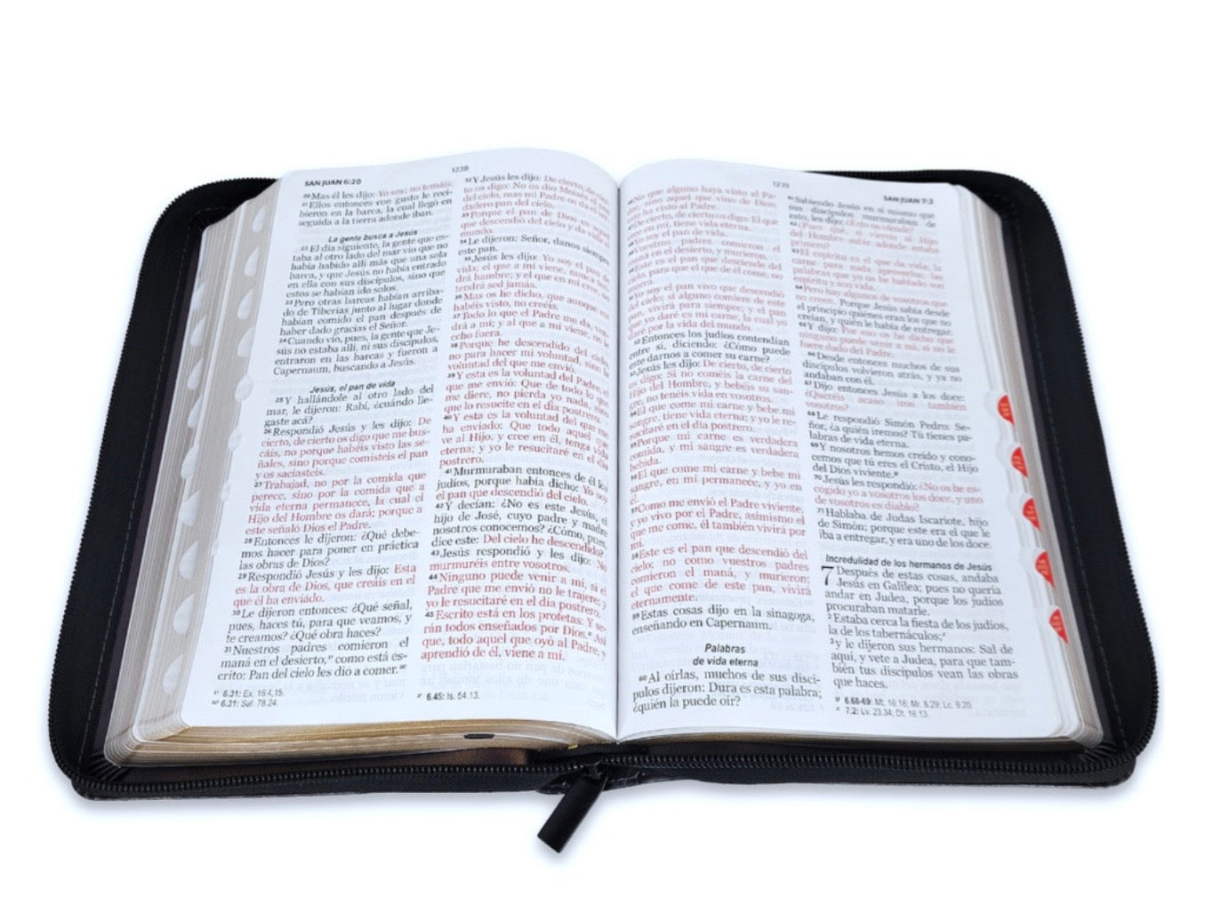 Biblia Letra Grande 12pts Con Cierre/Index RV1960 Vino Arca De La Alianza