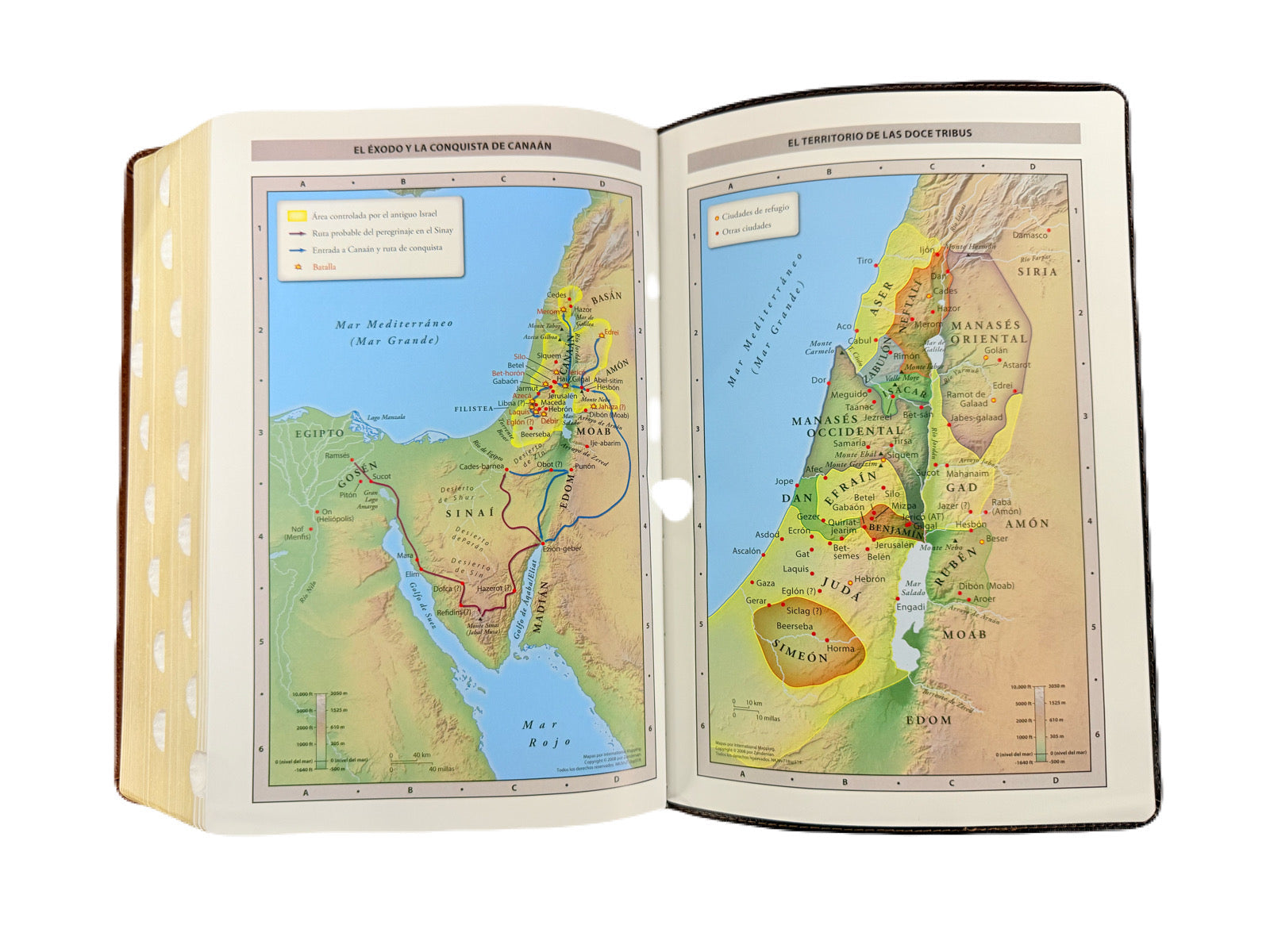 Biblia de Estudio MacArthur NBLA versión de las Américas Café Con Índice