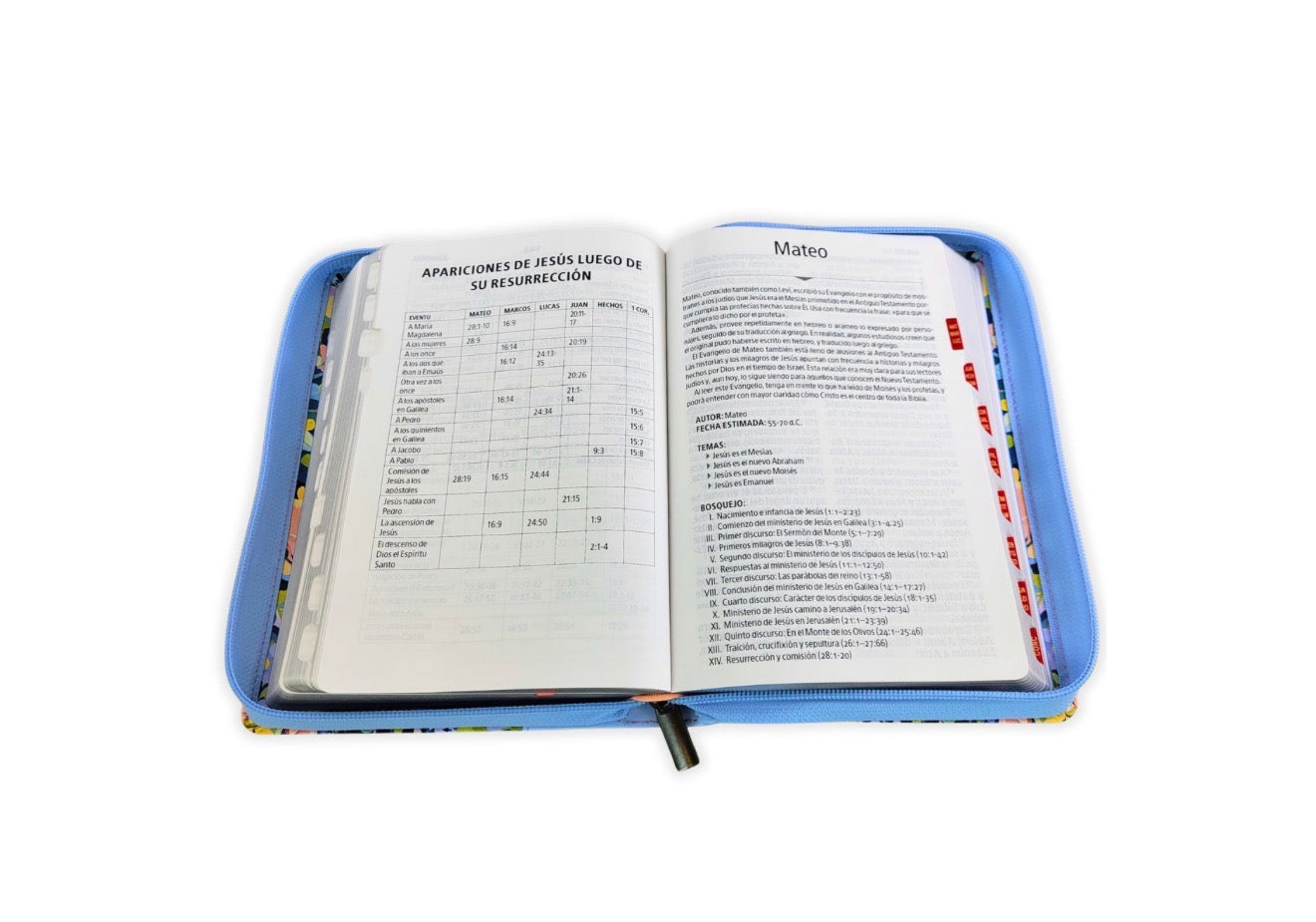 Biblia con Cierre Letra Gigante Manual RV1960, imit. piel celeste floral con índice