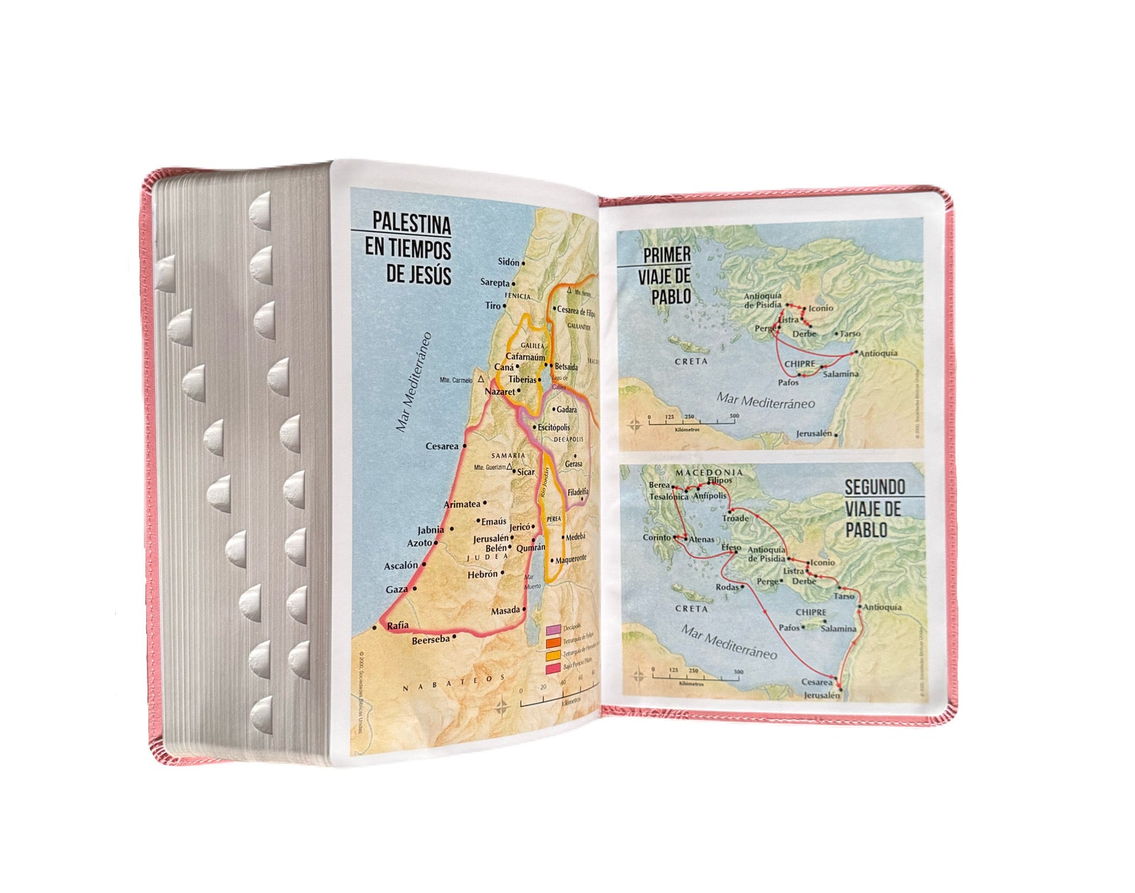 Biblia Letra Súper Gigante 19Pts Con Index Rosa Floral RV1960