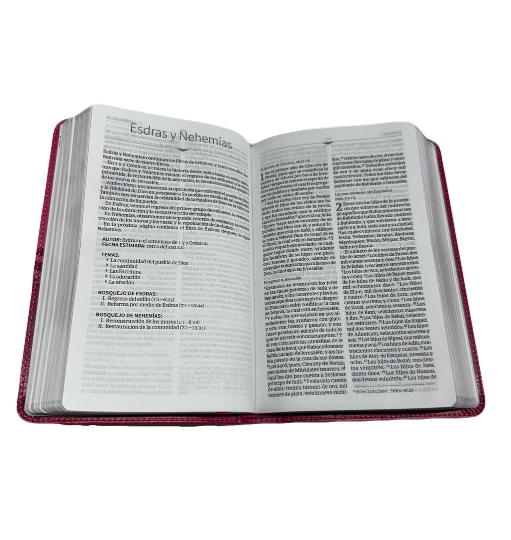 Biblia Edición Mis Quince RV1960 Cóctel De Frambuesa Con Aplique Símil Piel