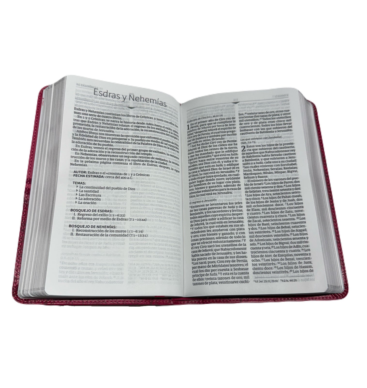 Biblia Edición Mis Quince RV1960 Cóctel De Frambuesa Con Aplique Símil Piel