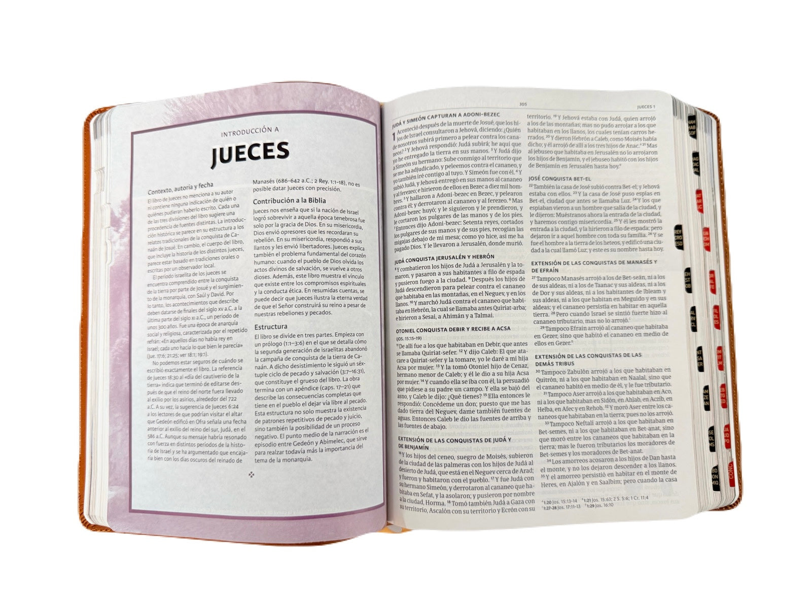 Biblia Ilustrada De La Tierra Santa RV1960