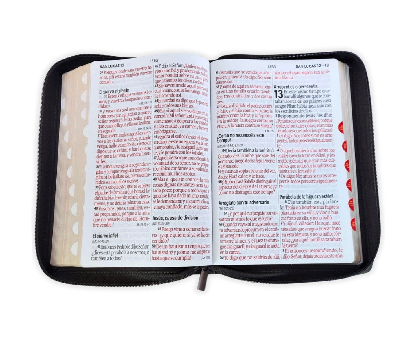 Biblia Letra Súper Gigante 19pts Con Cierre/Index Arca De La Alianza RV1960